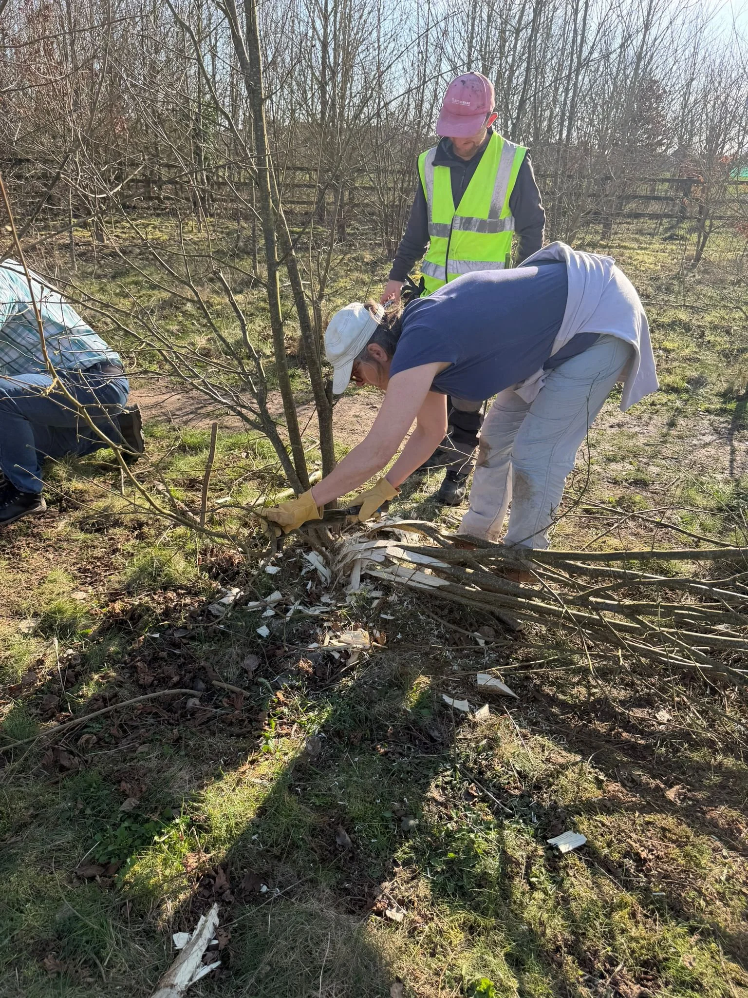 WhatsApp Image 2026-03-02 at 17.52.10 (10).jpeg