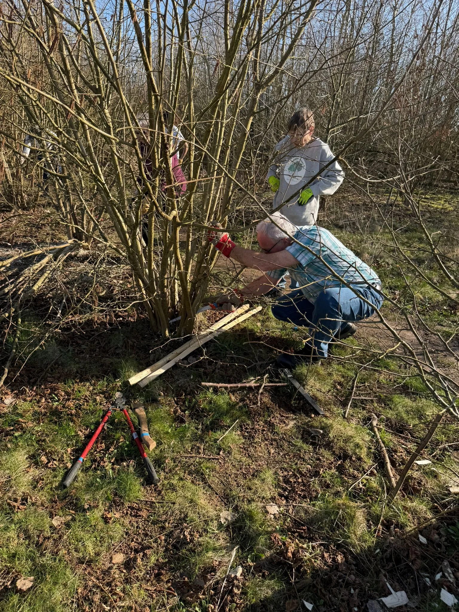 WhatsApp Image 2026-03-02 at 17.52.10 (12).jpeg