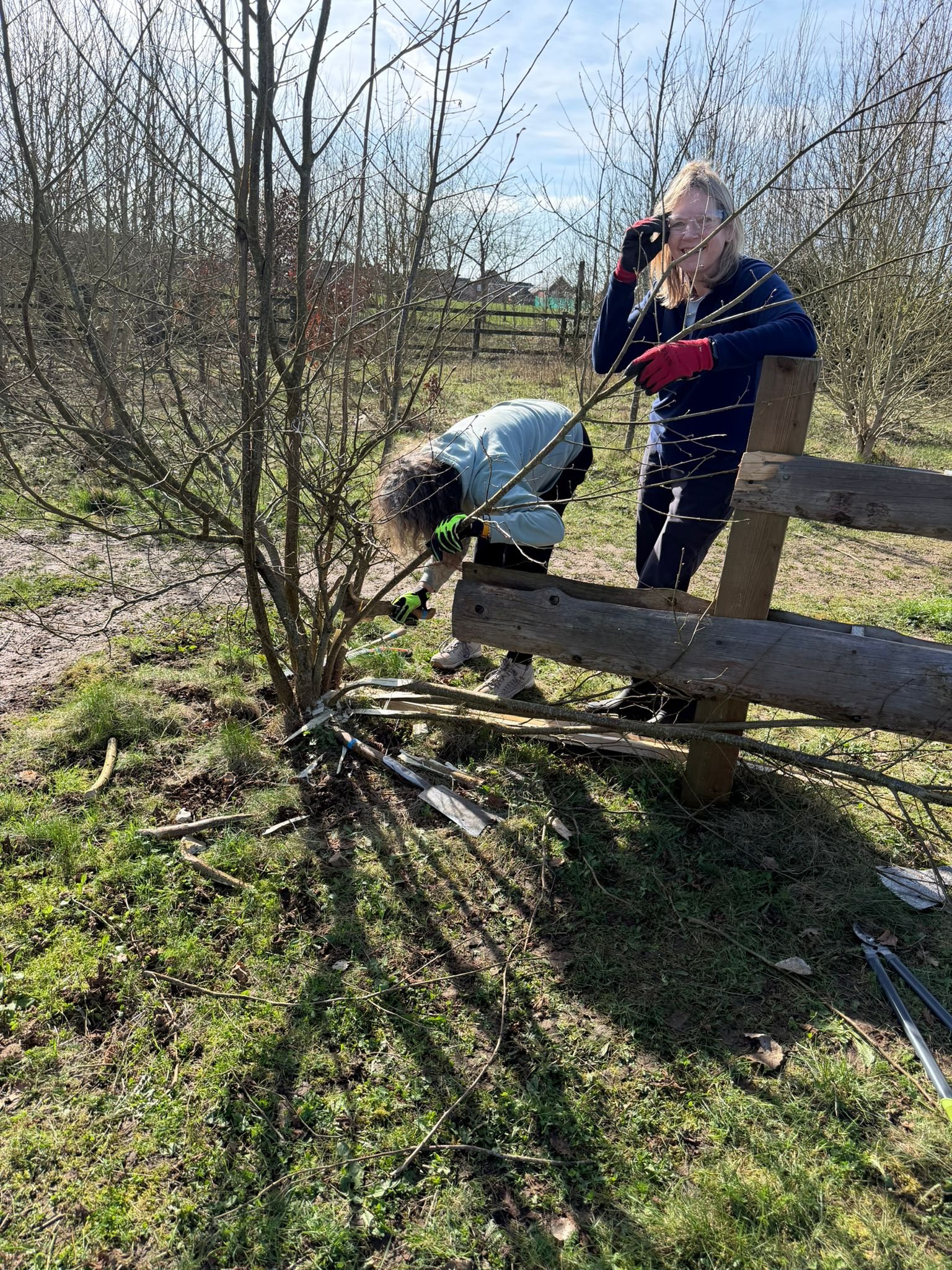 WhatsApp Image 2026-03-02 at 17.52.10.jpeg