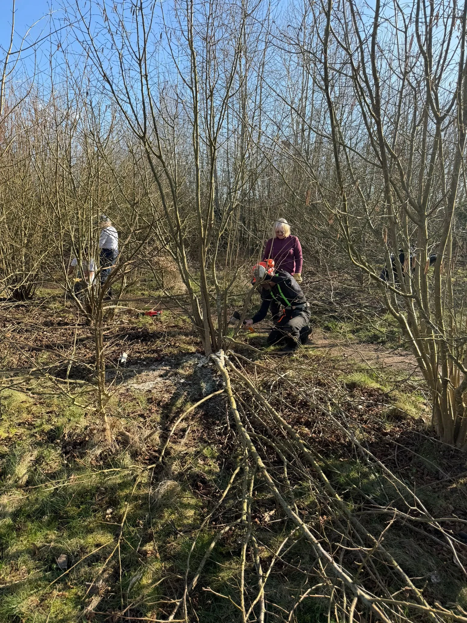 WhatsApp Image 2026-03-02 at 17.52.11.jpeg