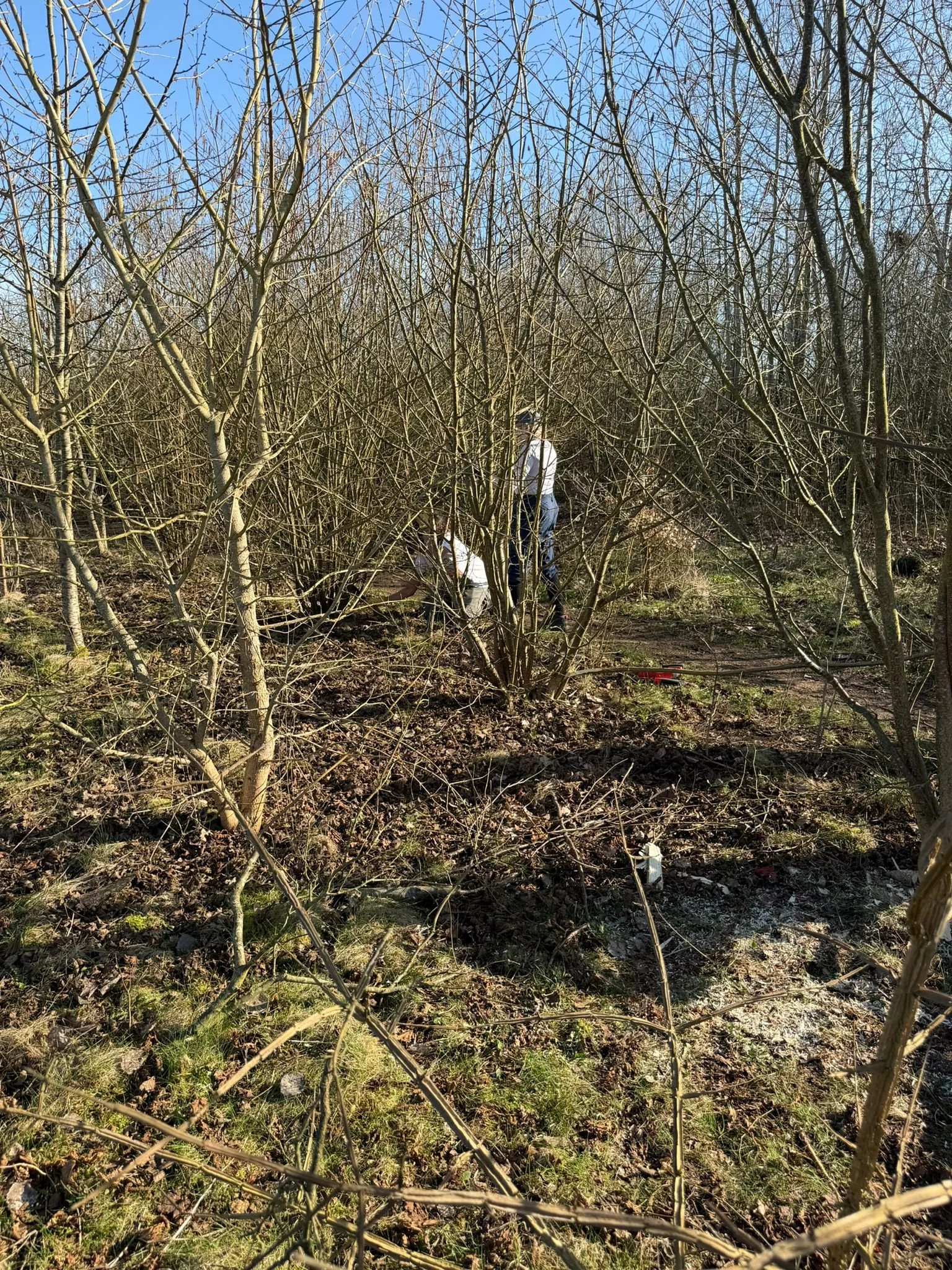 WhatsApp Image 2026-03-02 at 17.52.12.jpeg