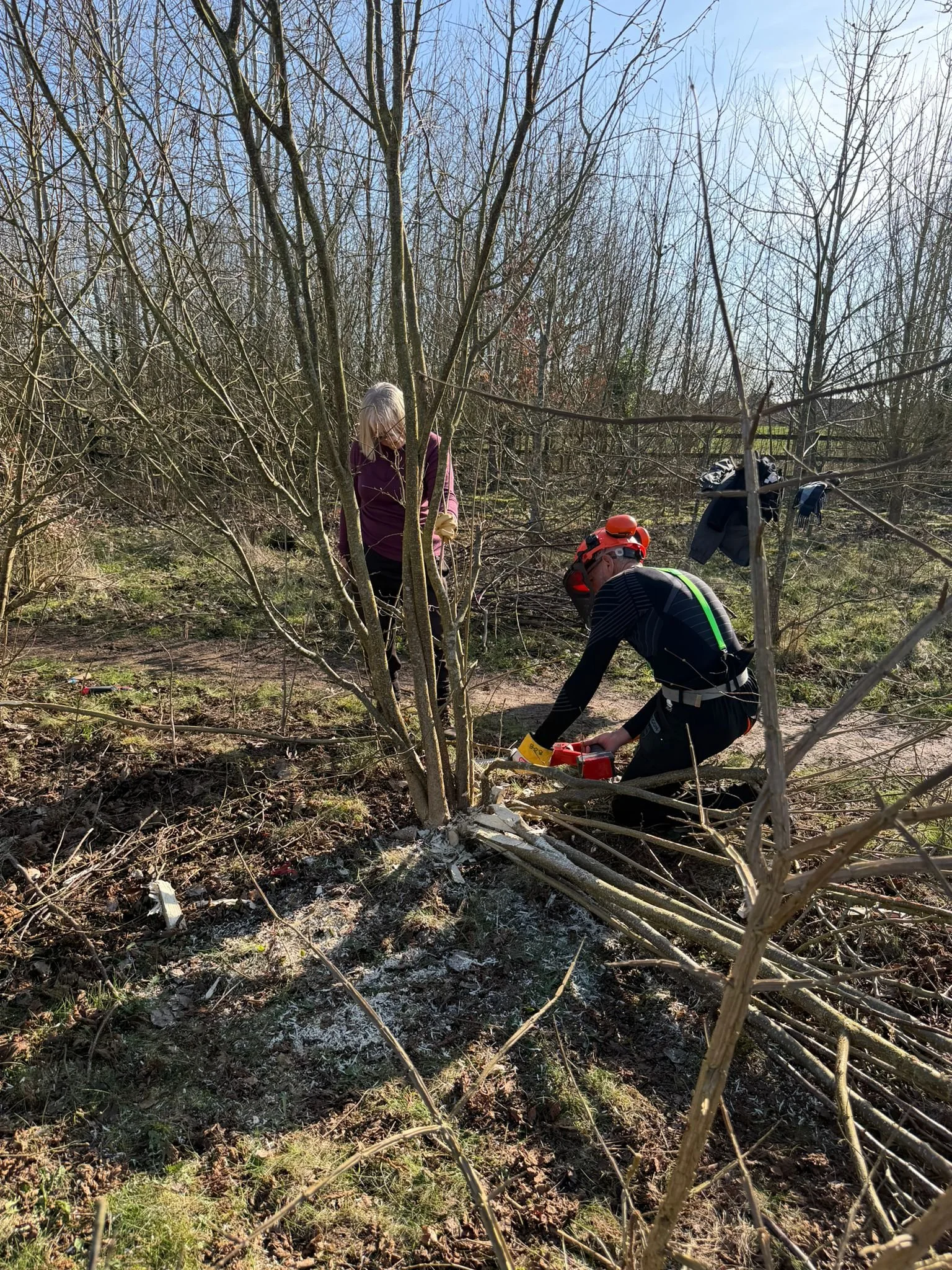 WhatsApp Image 2026-03-02 at 17.52.15 (1).jpeg