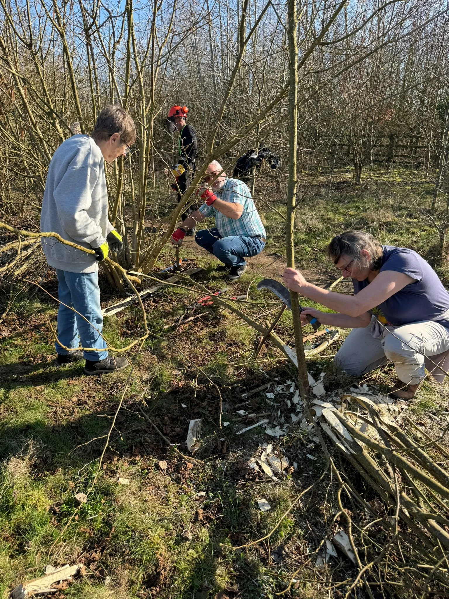 WhatsApp Image 2026-03-02 at 17.52.15.jpeg