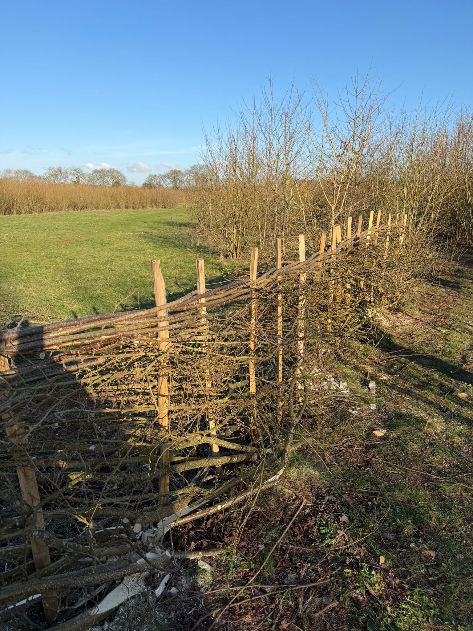 WhatsApp Image 2026-03-02 at 17.52.16 (2).jpeg