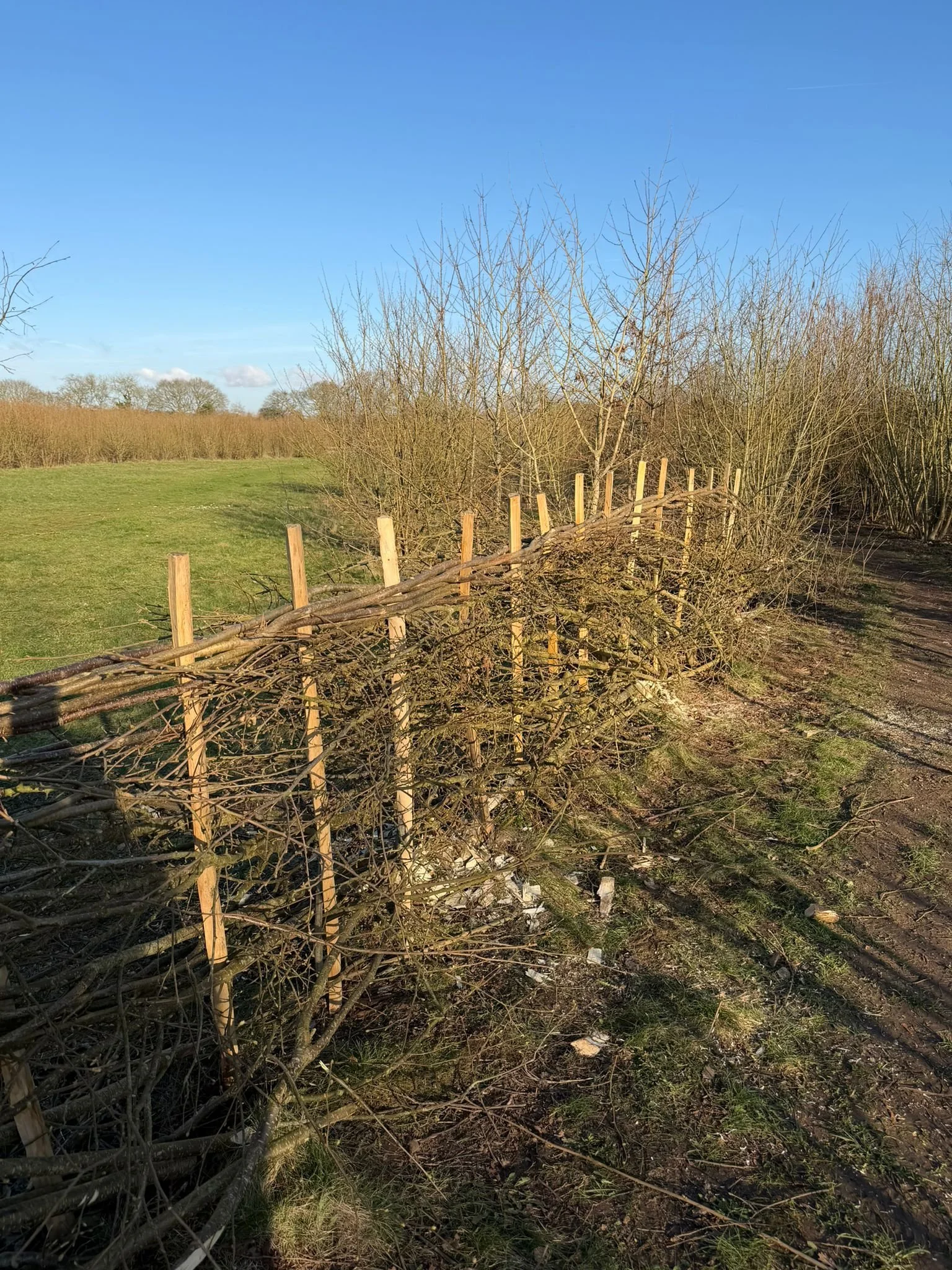 WhatsApp Image 2026-03-02 at 17.52.16 (4).jpeg