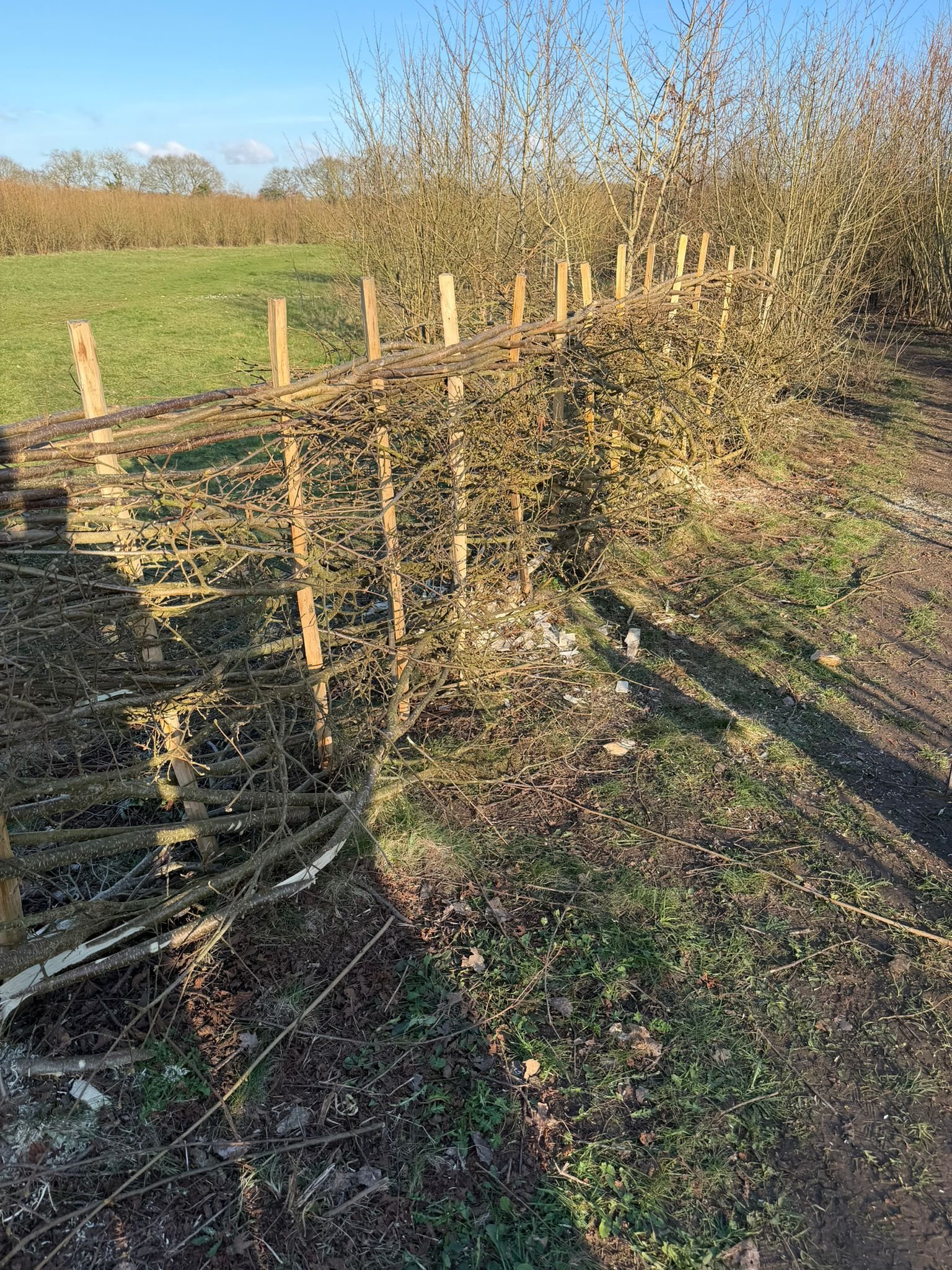 WhatsApp Image 2026-03-02 at 17.52.16 (5).jpeg