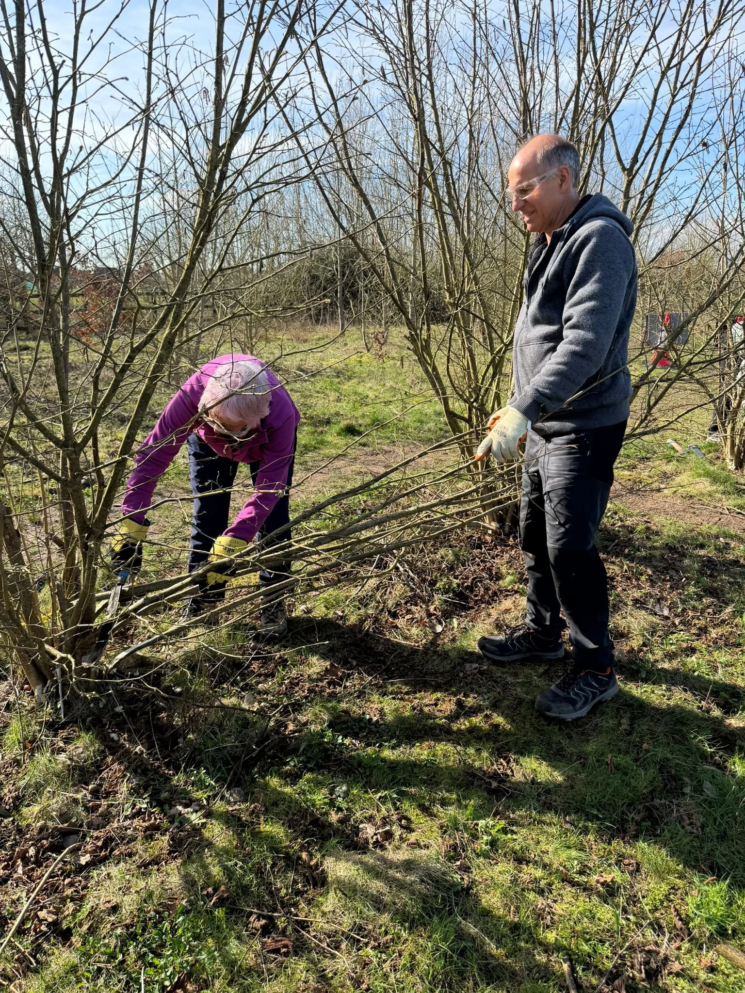 Digging it: The weekly adventures of Volunteer Conservation Teams!