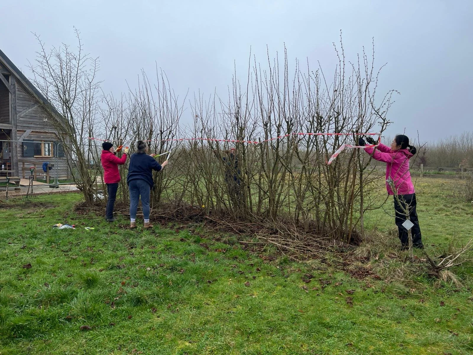 WhatsApp Image 2026-03-09 at 14.45.57.jpeg