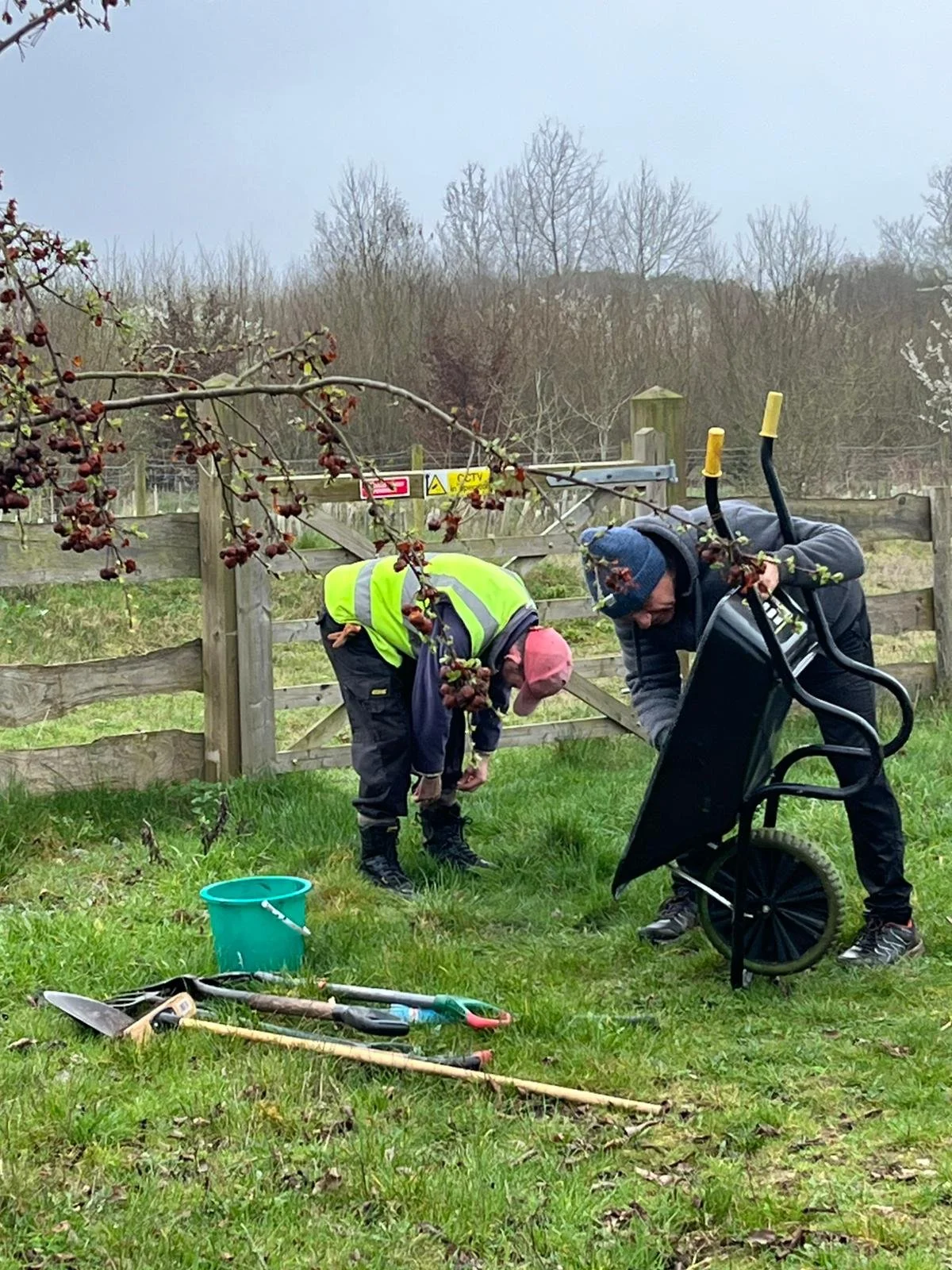 WhatsApp Image 2026-03-09 at 14.46.02 (2).jpeg