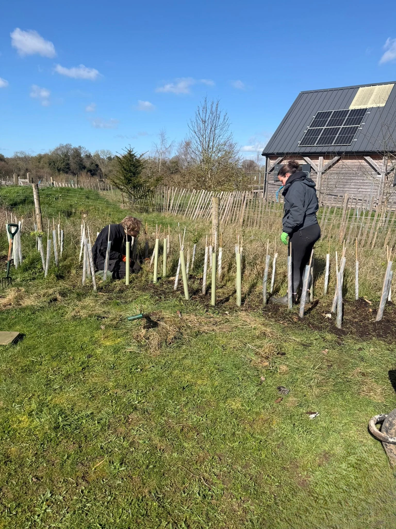 WhatsApp Image 2026-03-14 at 13.18.32 (7).jpeg