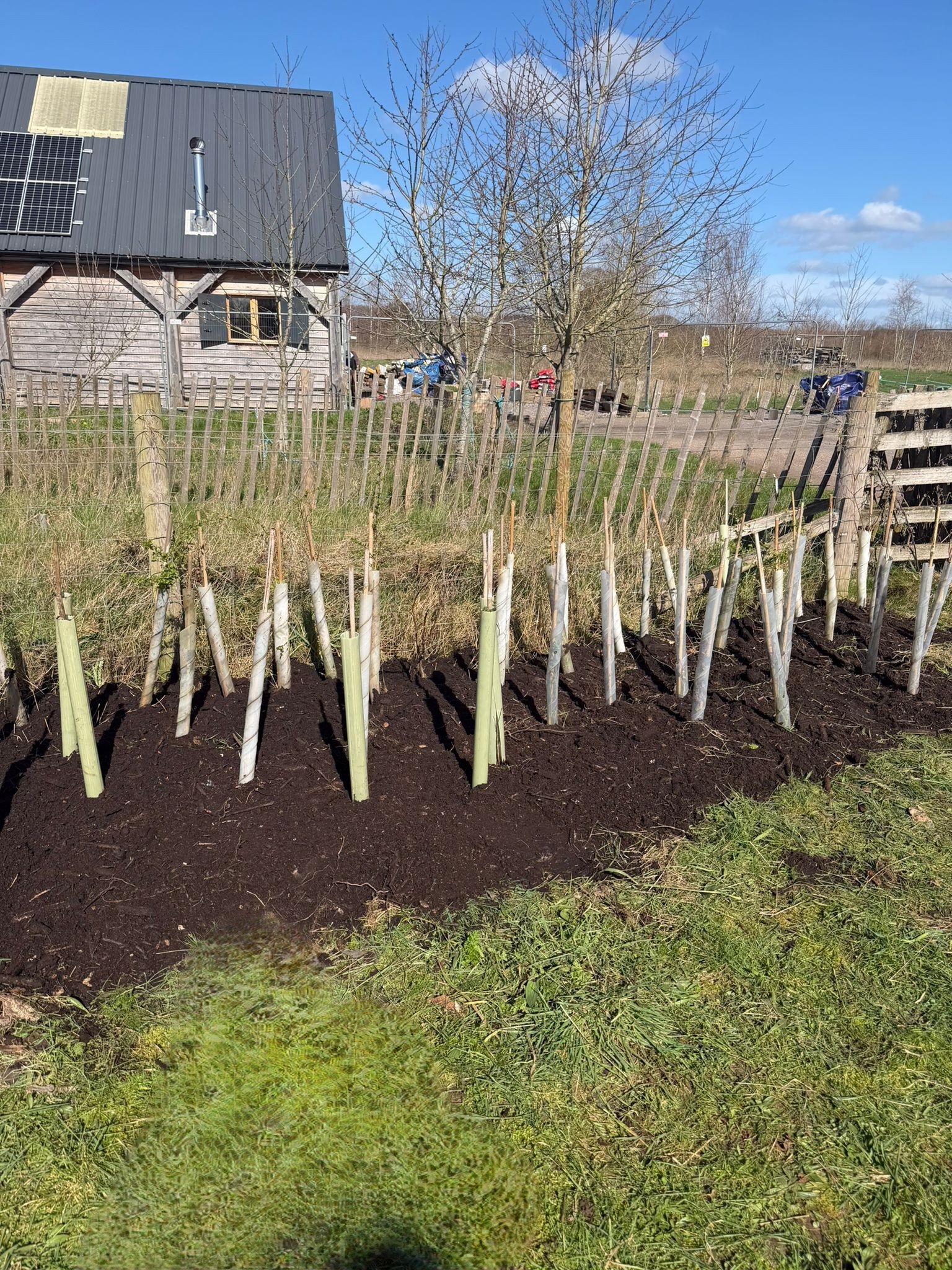 WhatsApp Image 2026-03-14 at 13.18.33.jpeg