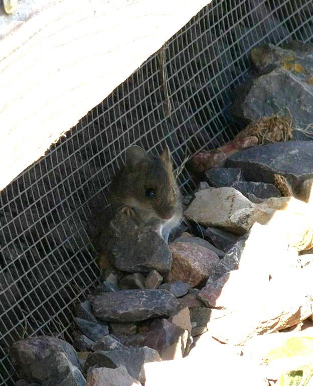 WhatsApp Image 2026-03-14 at 13.18.33 (2).jpeg