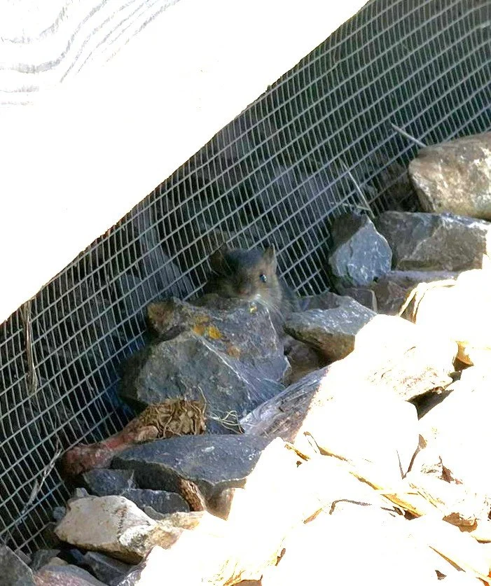 WhatsApp Image 2026-03-14 at 13.18.33 (1).jpeg