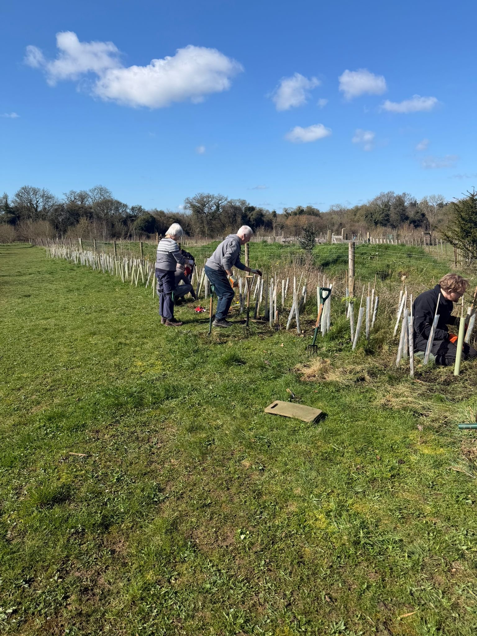 WhatsApp Image 2026-03-14 at 13.18.32 (8).jpeg