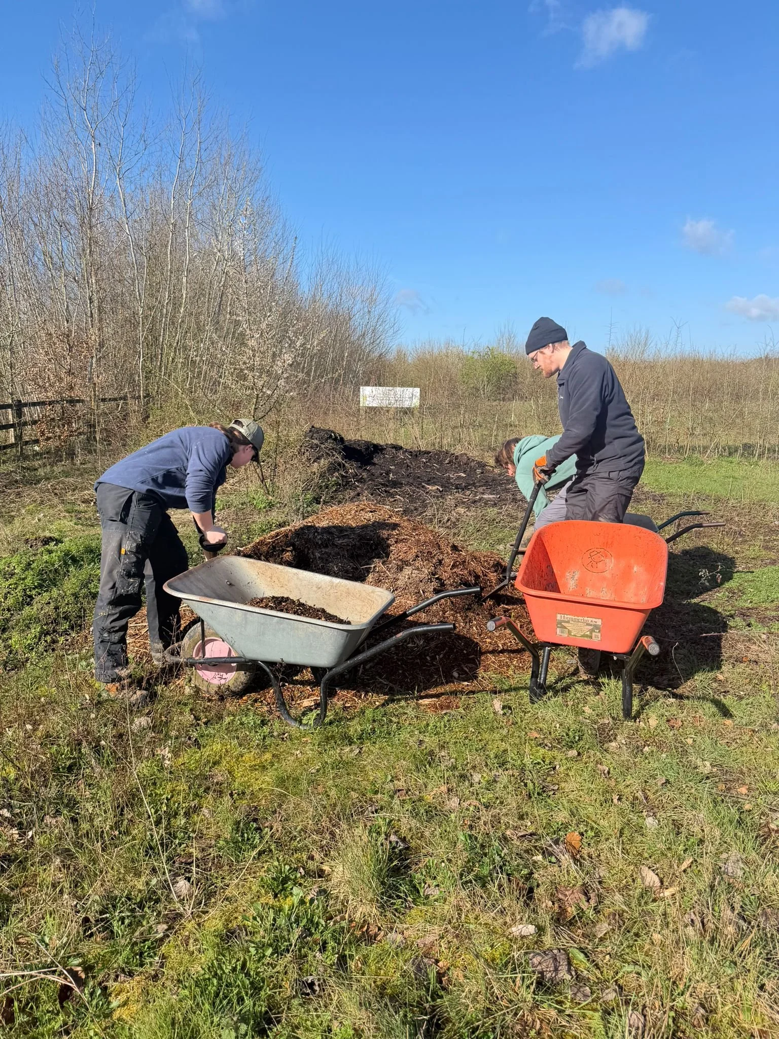 WhatsApp Image 2026-03-14 at 13.18.32.jpeg