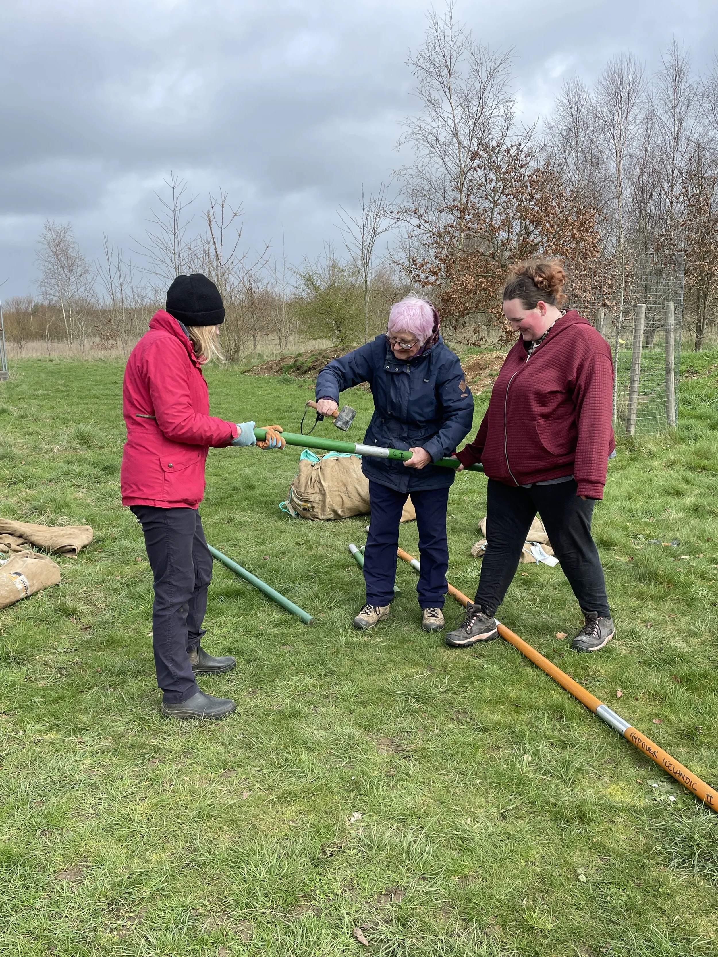 So how does this tent go together! [2].JPG