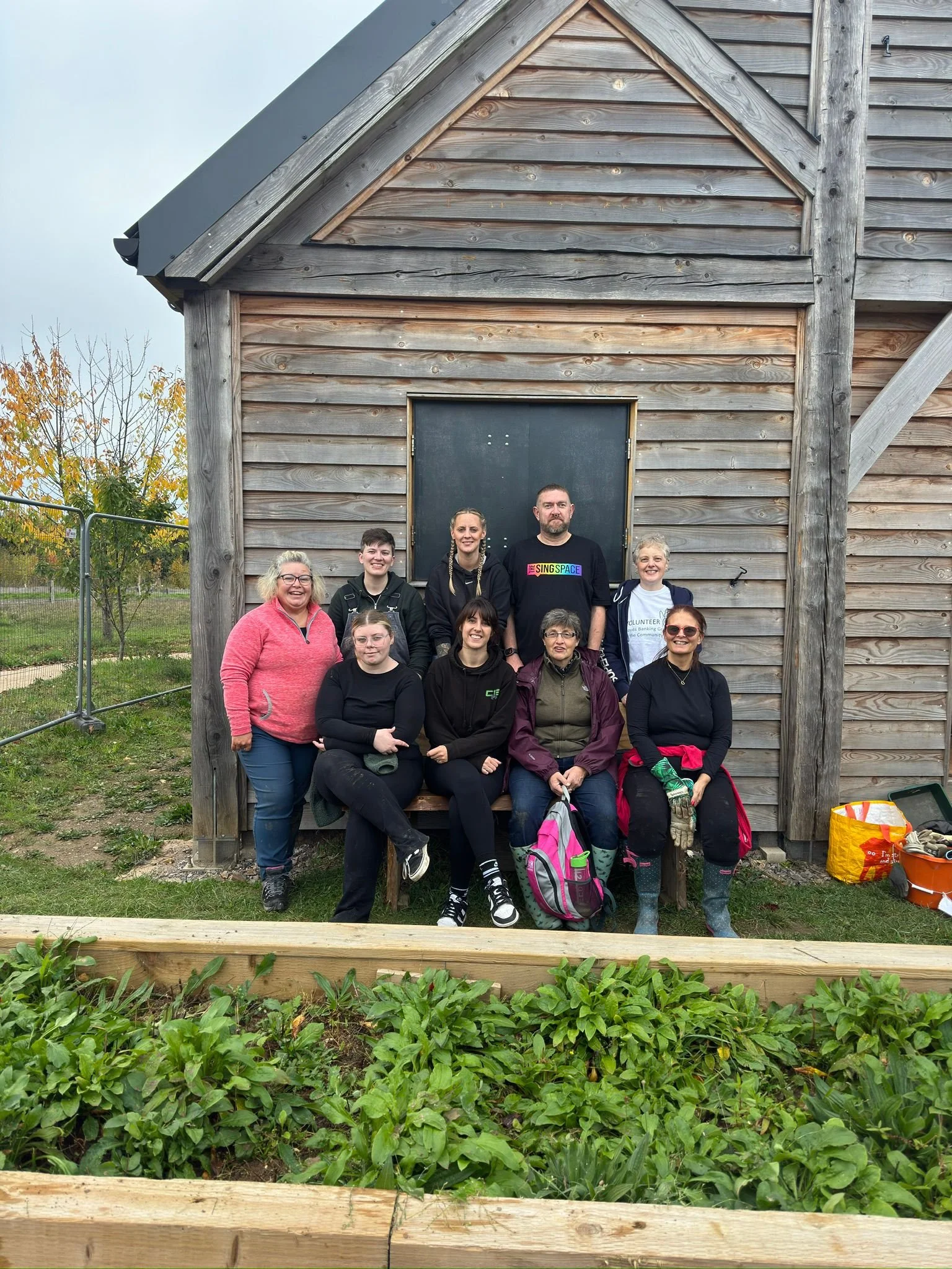 Volunteers Needed: Help Grow Nature and Community at Andover Trees