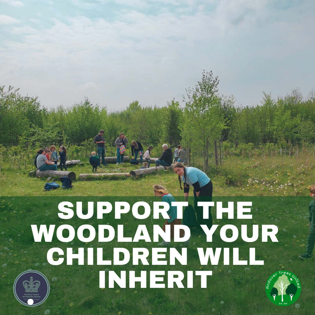 Family Membership at Andover Trees - Raising the Next Generation of Nature Guardians