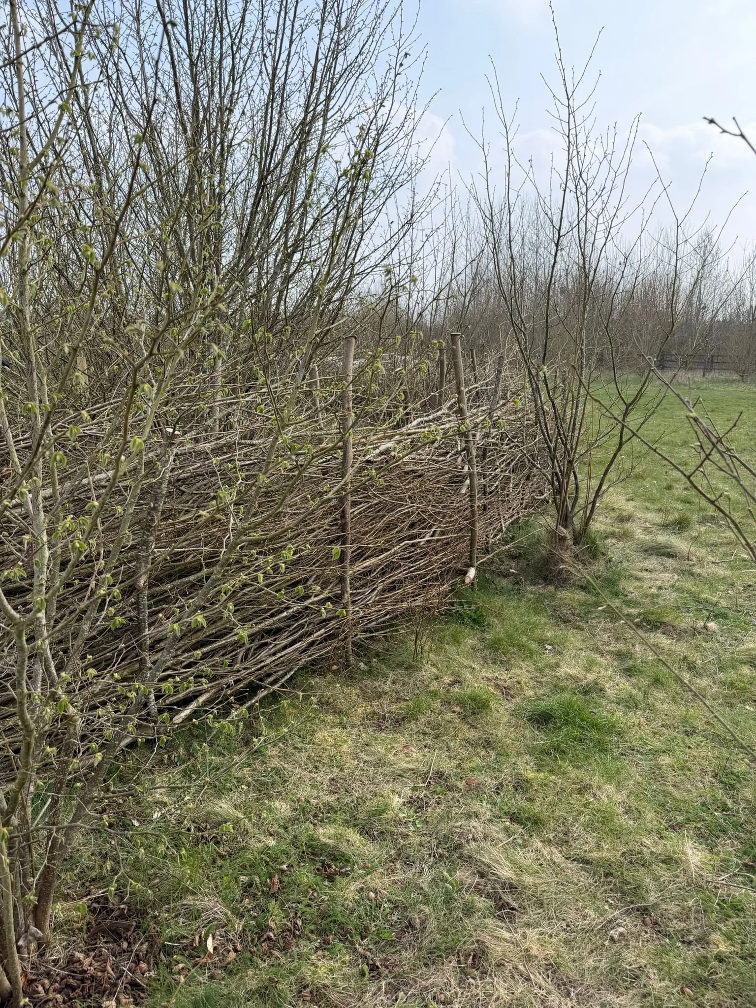 WhatsApp Image 2026-03-23 at 16.06.06 (1).jpeg