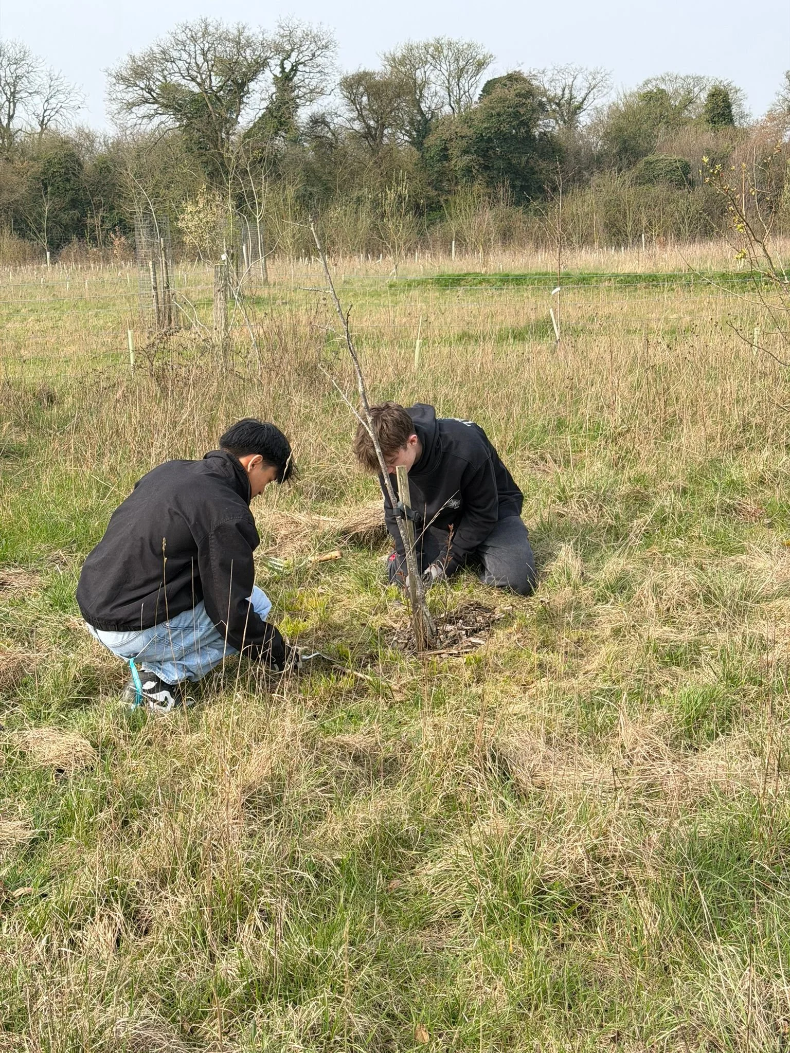 WhatsApp Image 2026-03-23 at 16.06.07 (3).jpeg