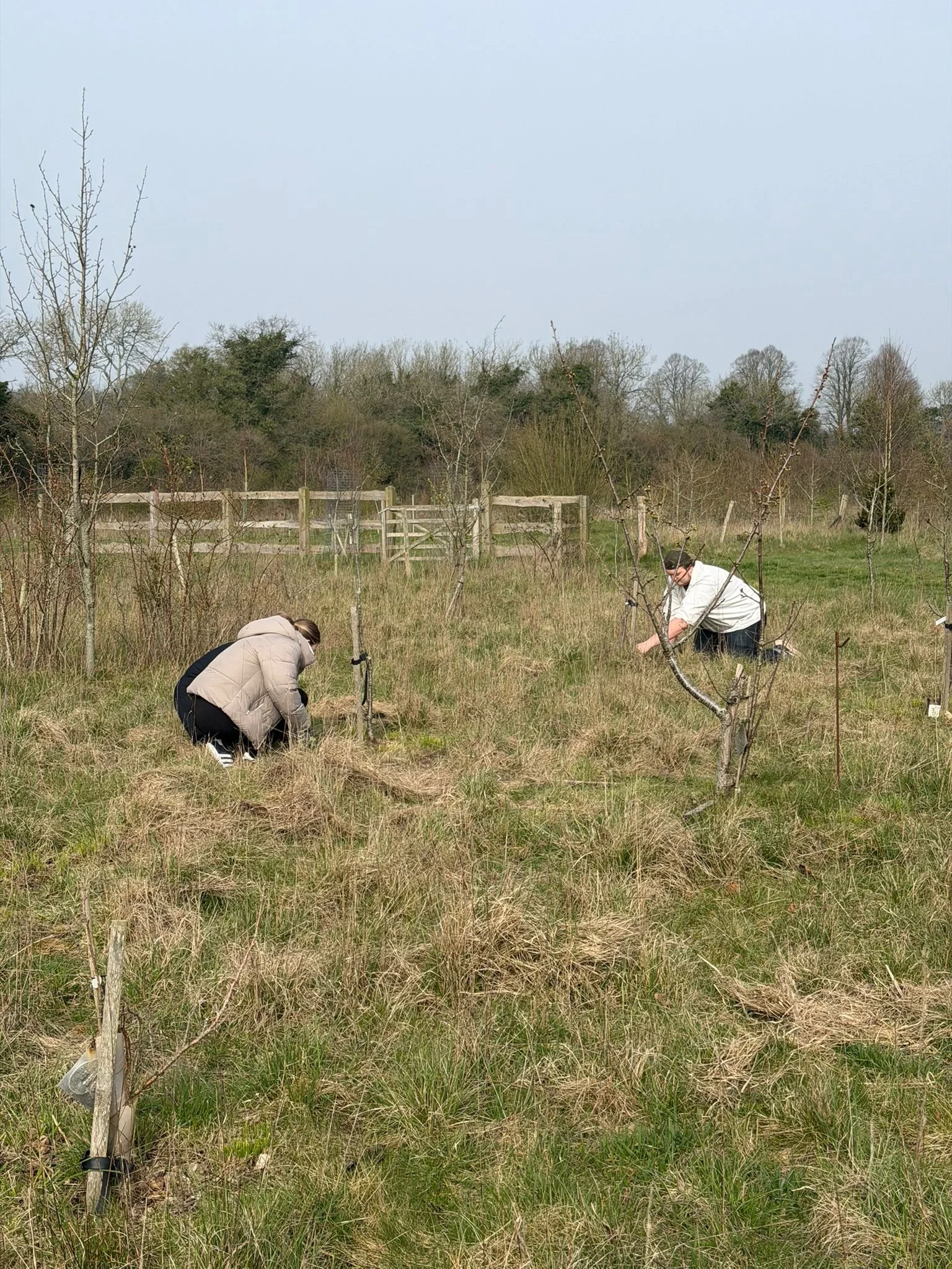 WhatsApp Image 2026-03-23 at 16.06.07 (4).jpeg