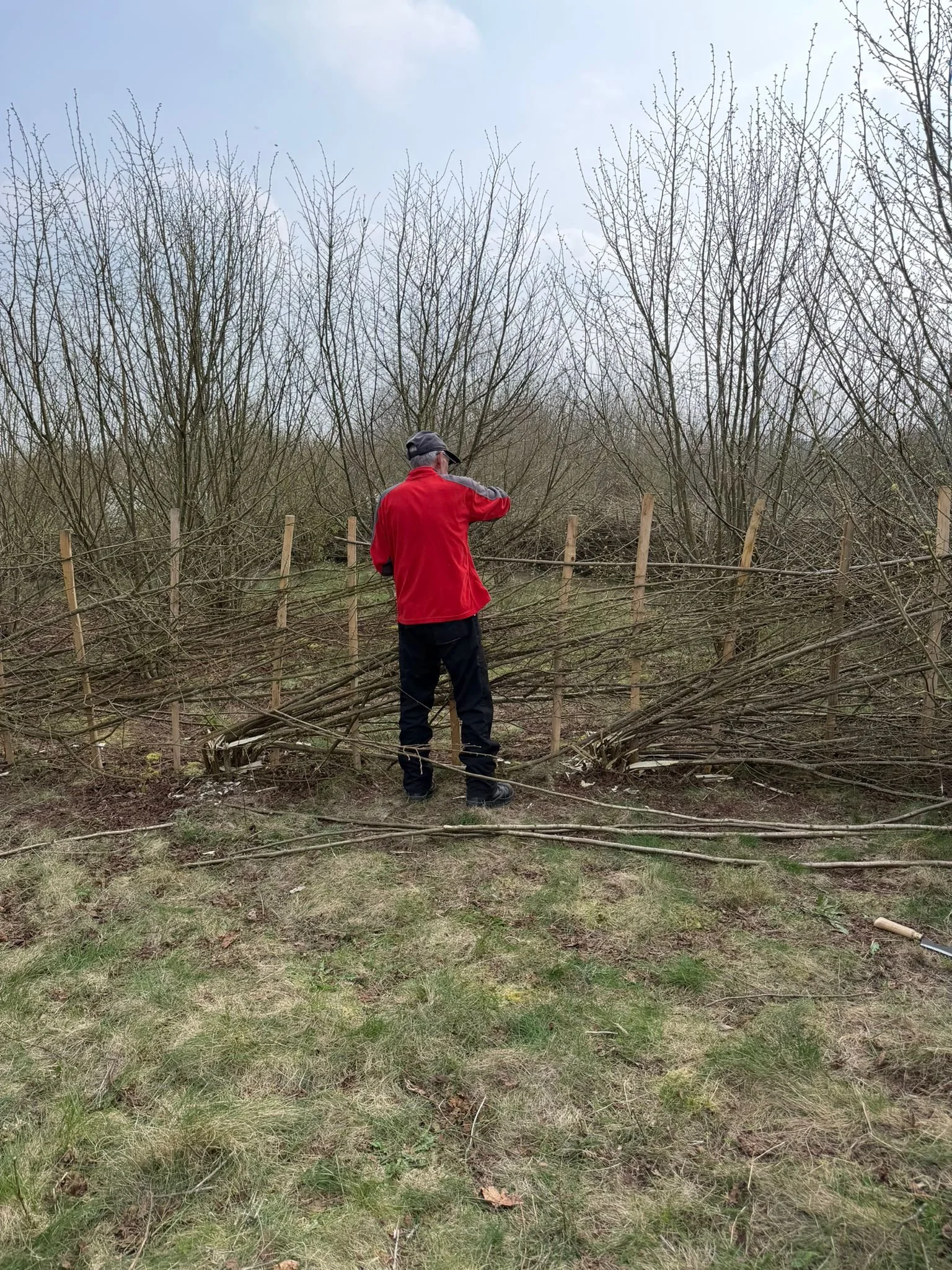 WhatsApp Image 2026-03-23 at 16.06.07.jpeg