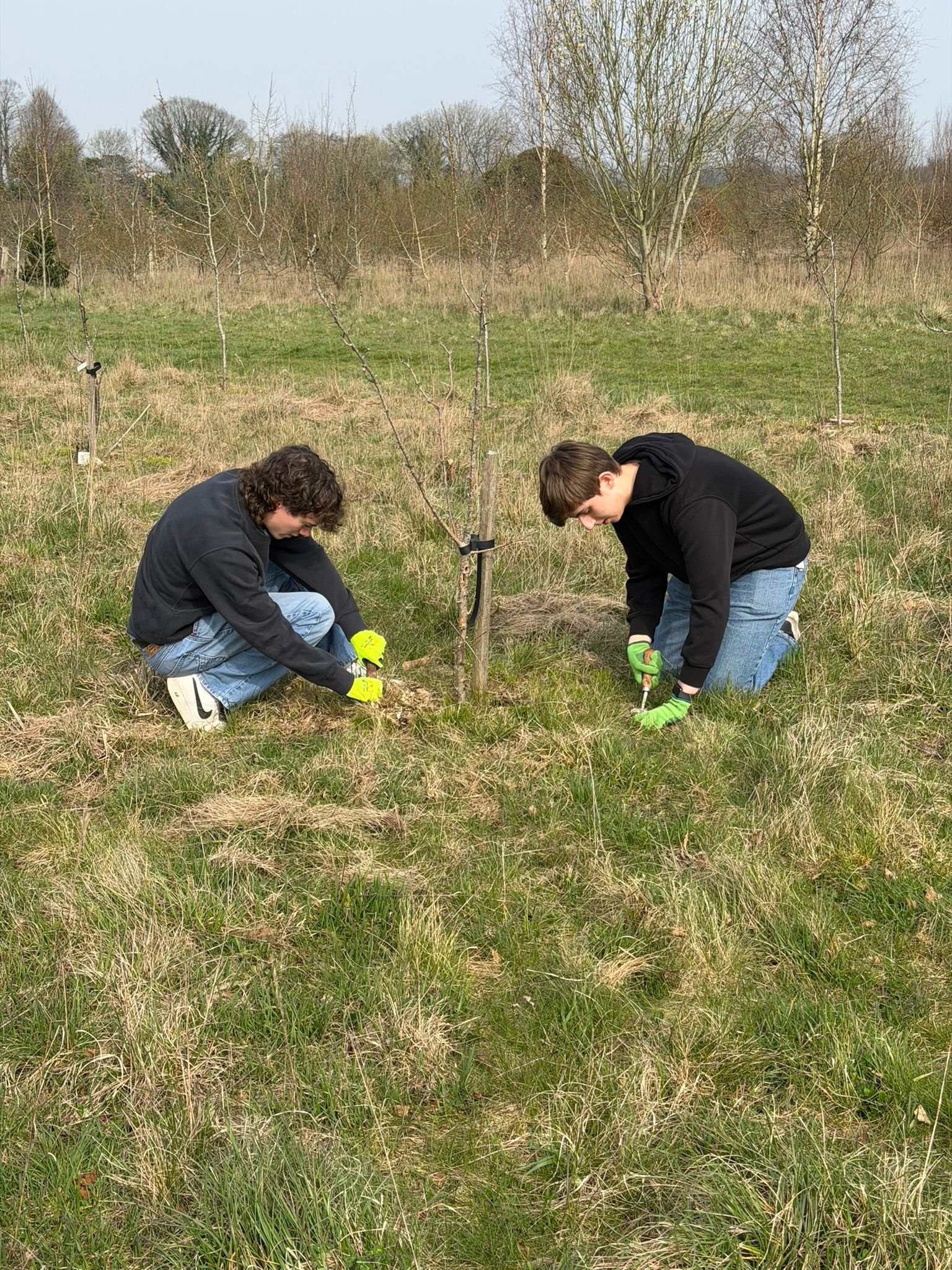 Digging it: The weekly adventures of Volunteer Conservation Teams!