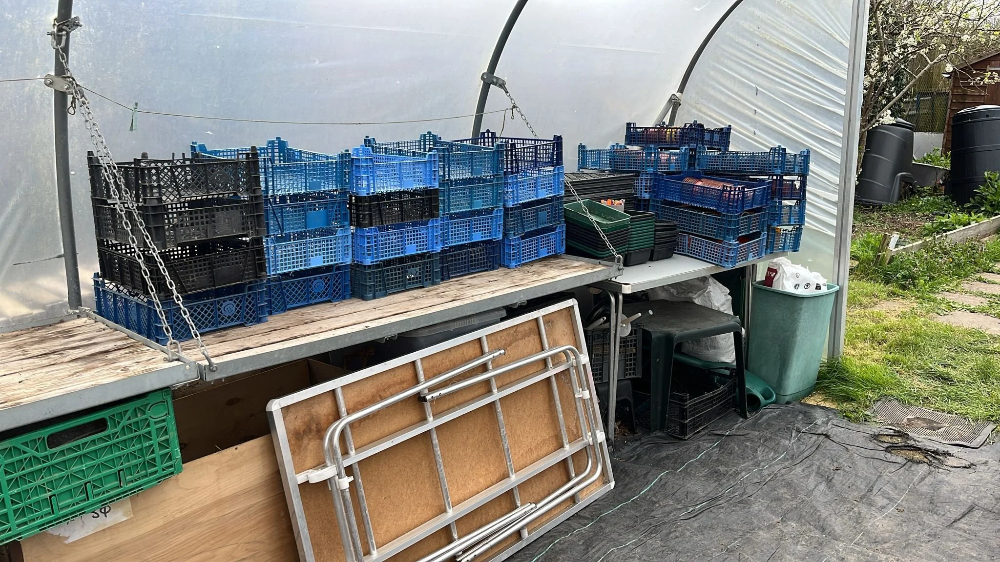 WhatsApp Image 2026-03-30 at 16.51.34 (1).jpeg