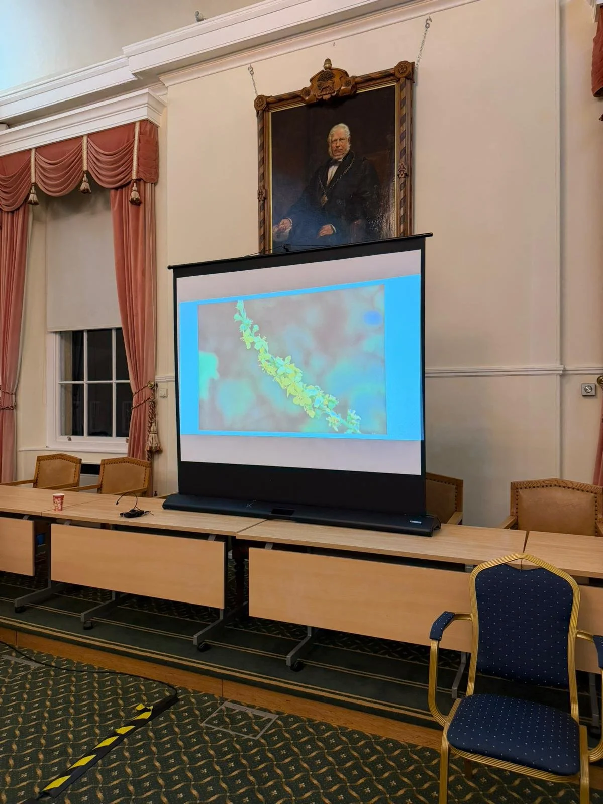 WhatsApp Image 2026-03-20 at 21.22.12 (1).jpeg