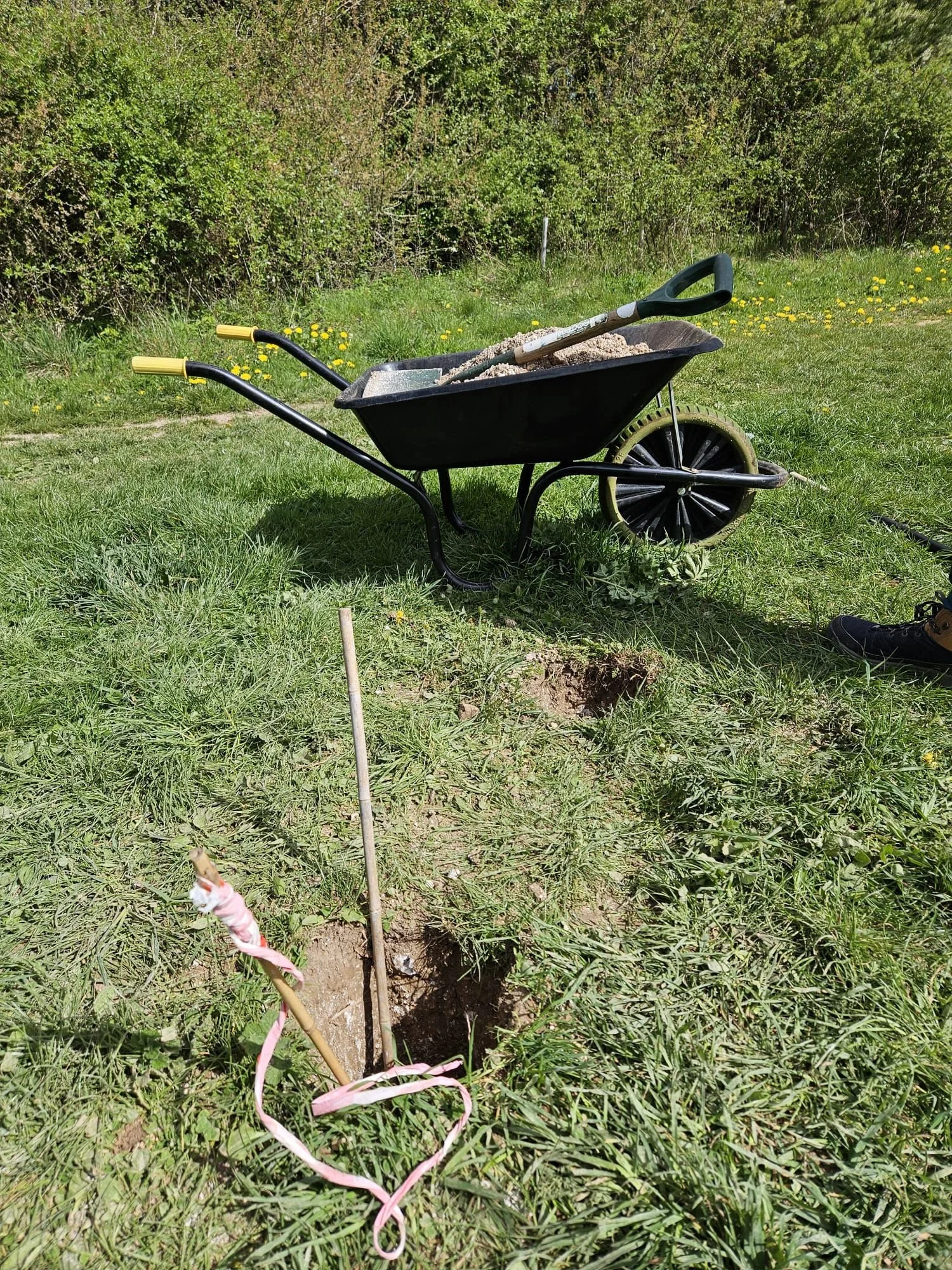 WhatsApp Image 2026-04-11 at 15.02.08.jpeg