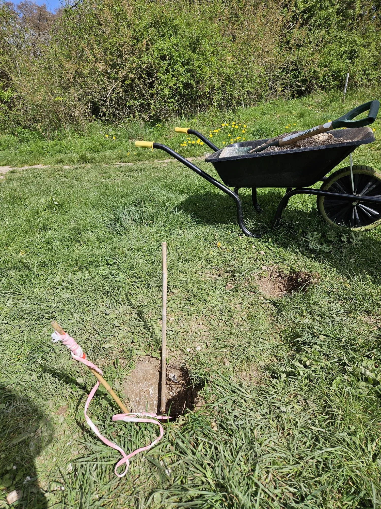 WhatsApp Image 2026-04-11 at 15.02.09 (3).jpeg