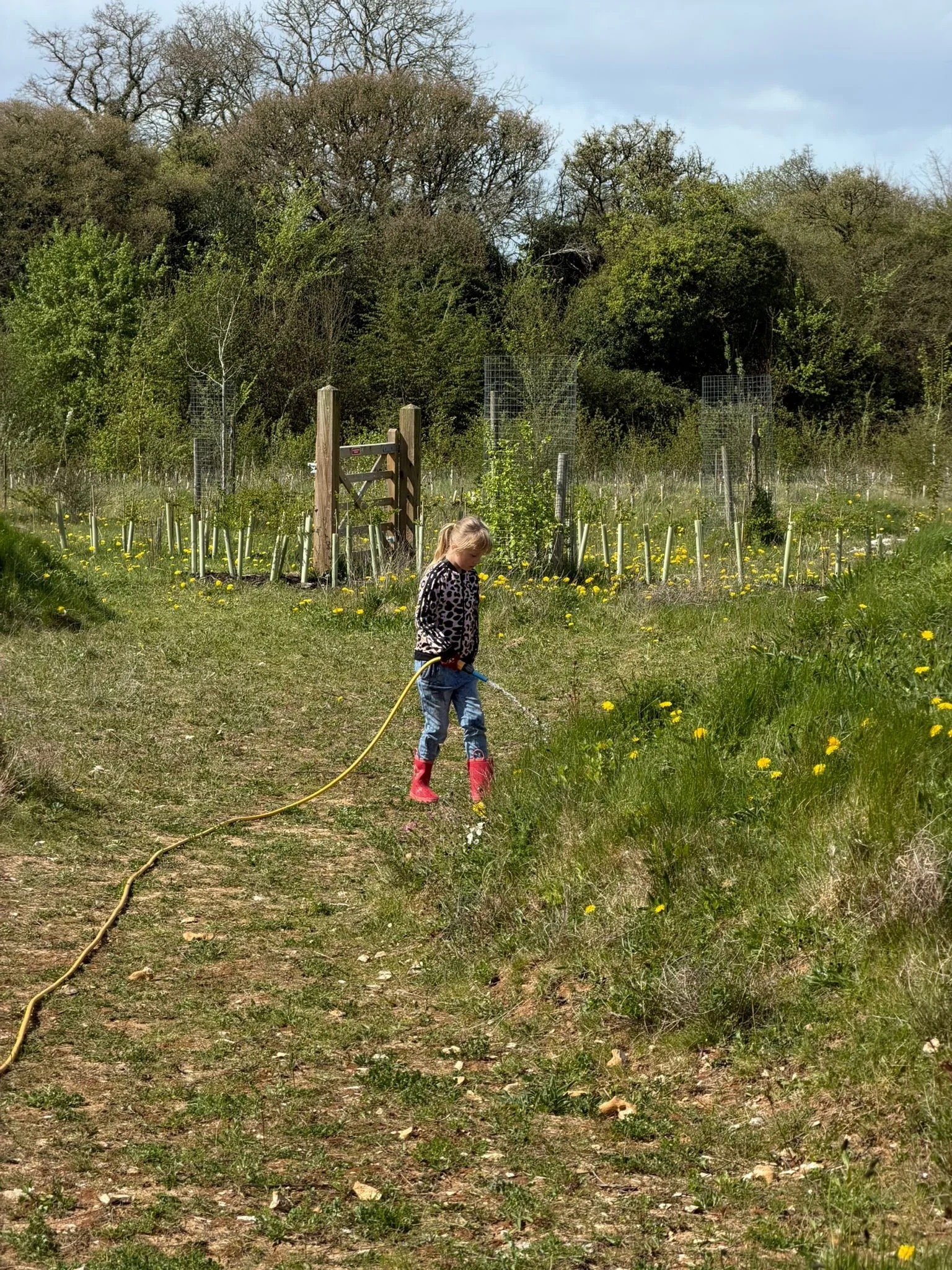 WhatsApp Image 2026-04-11 at 14.59.46.jpeg