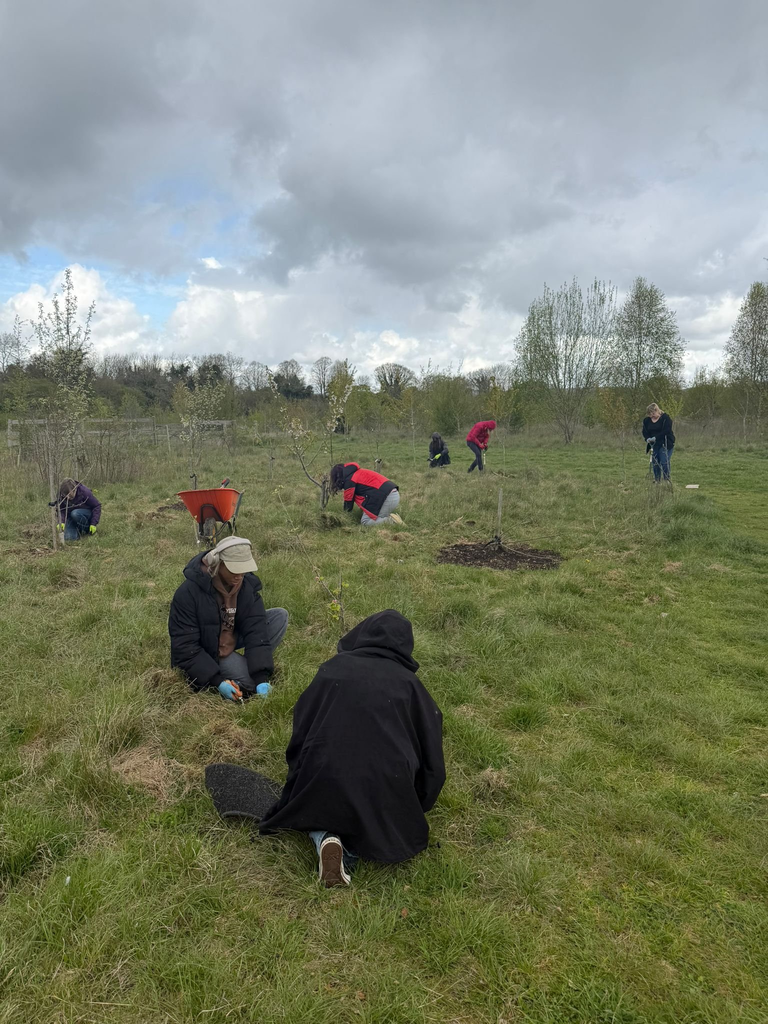 Digging it: The weekly adventures of Volunteer Conservation Teams!