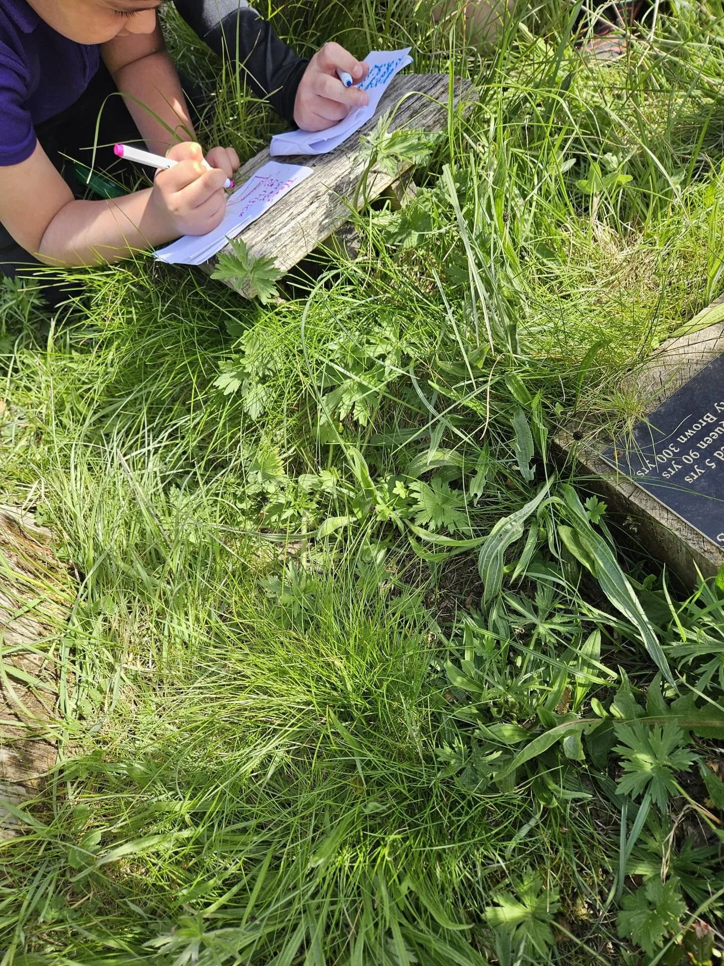 Earth Day 2026 in Andover: Inspiring Young People Through Nature and Conservation