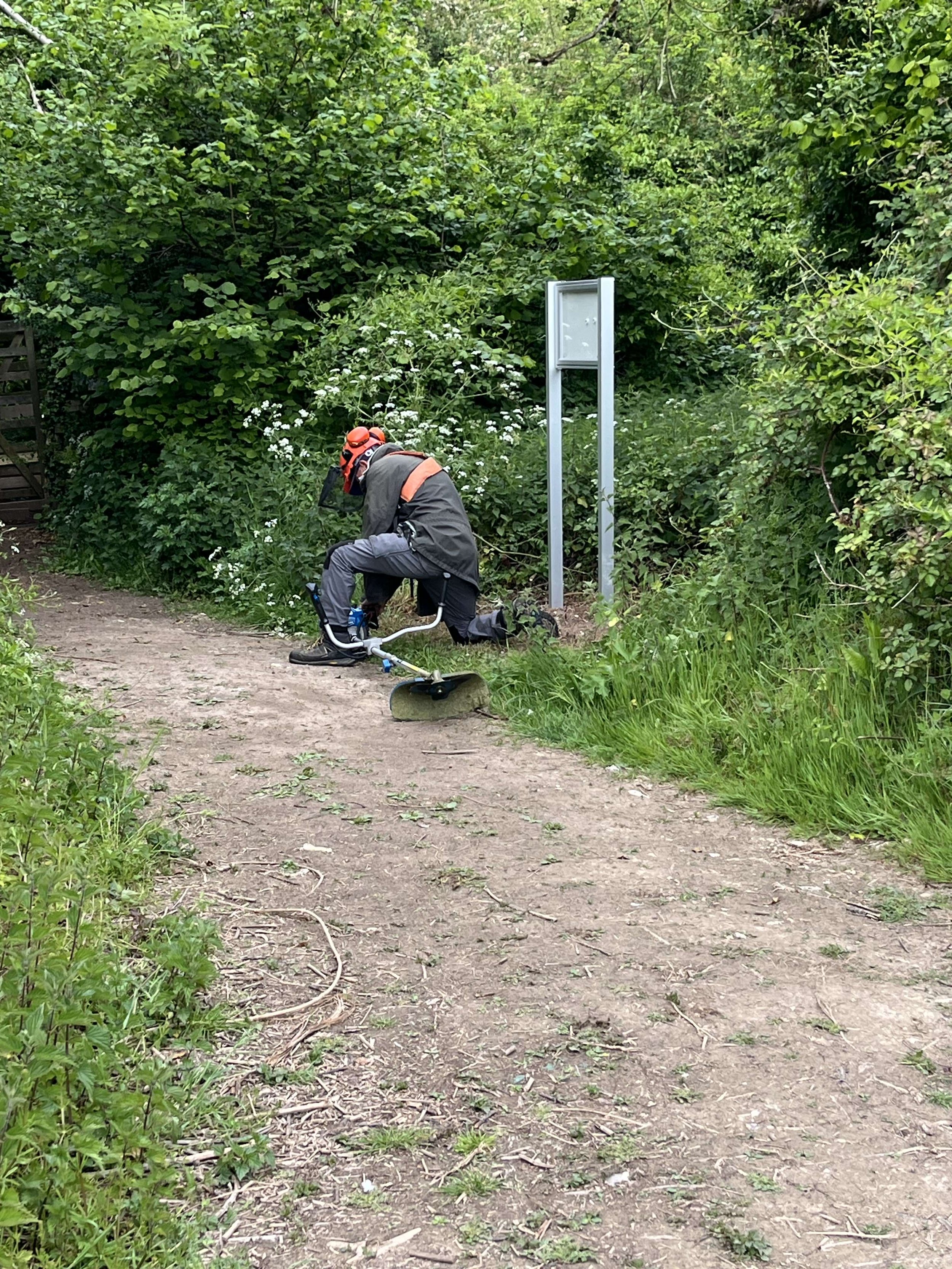 IMG_0482.jpg