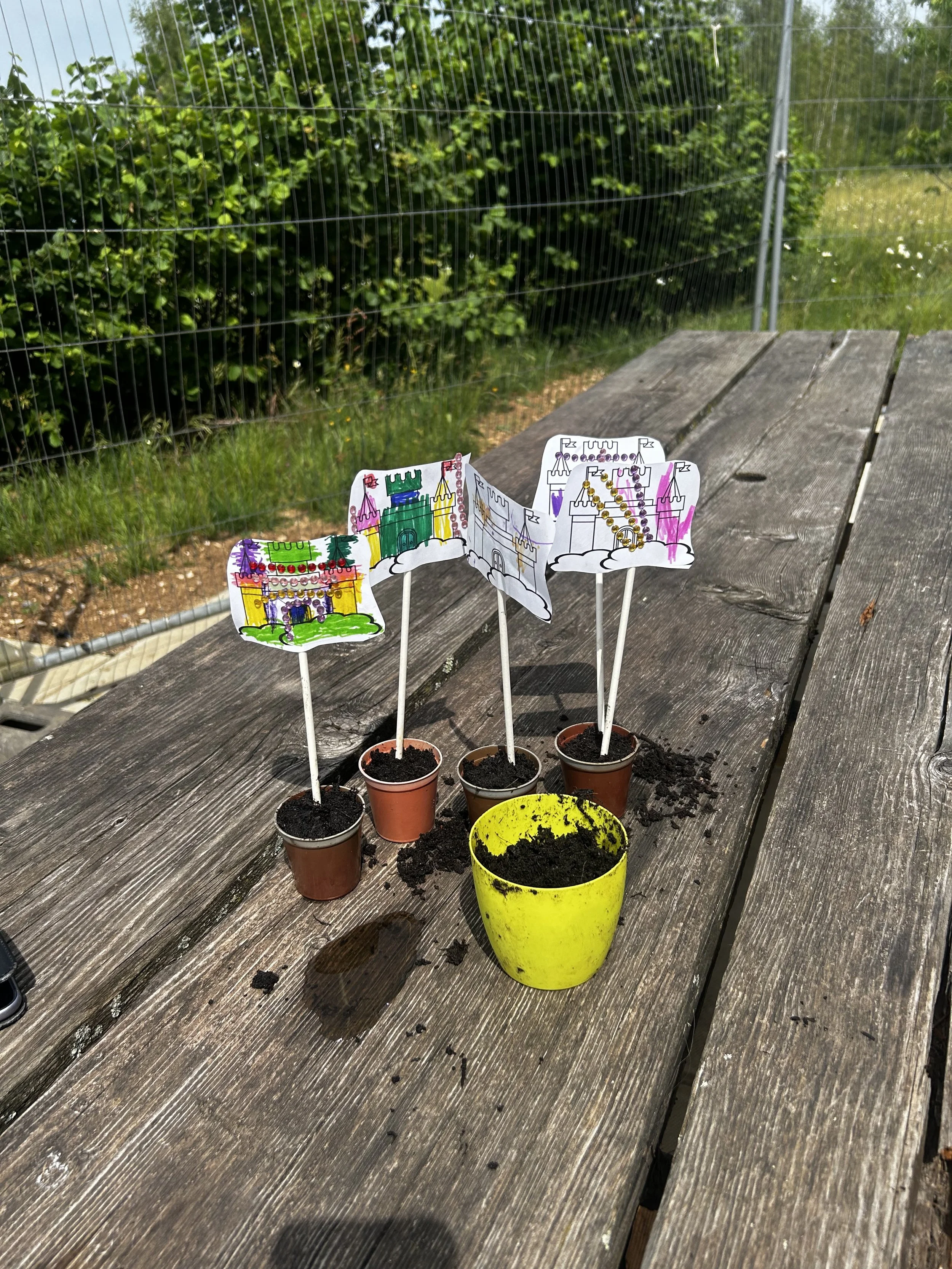 Tall Tales, Magical Castles and Woodland Adventures at Andover Trees