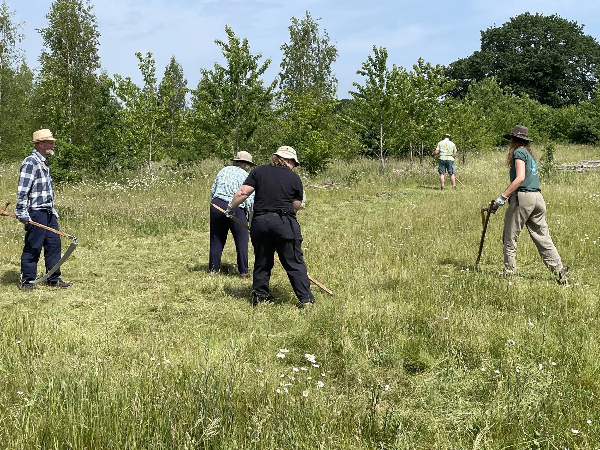 CPRE Hampshire's Magnificent Meadows - Scything &amp; Haymaking
