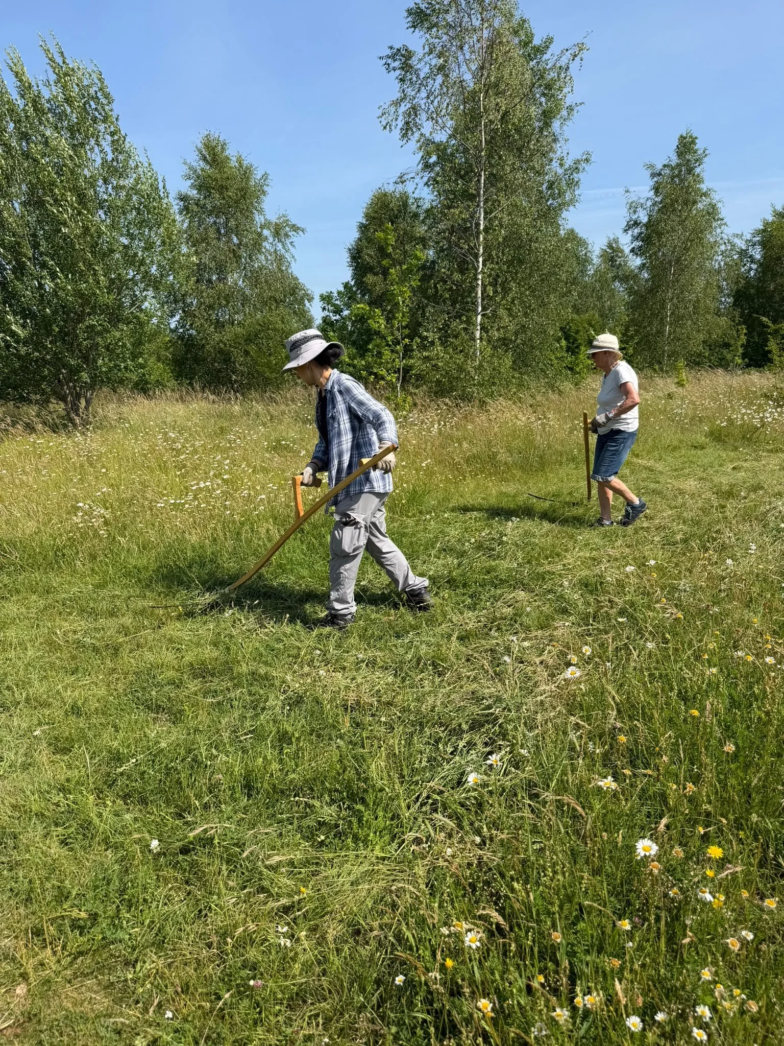 Digging it: The weekly adventures of Volunteer Conservation Teams!