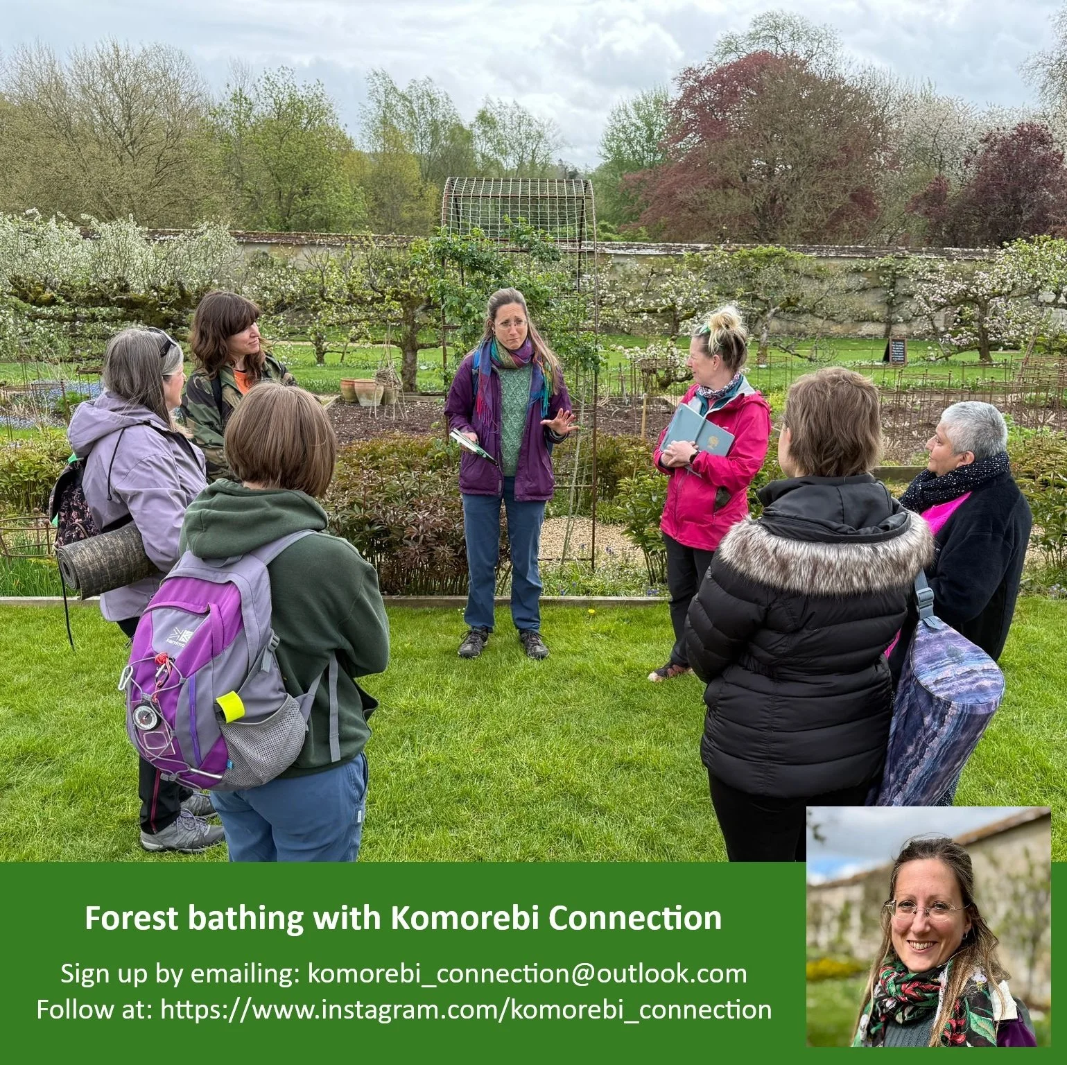 Forest bathing - Komorebi Connection