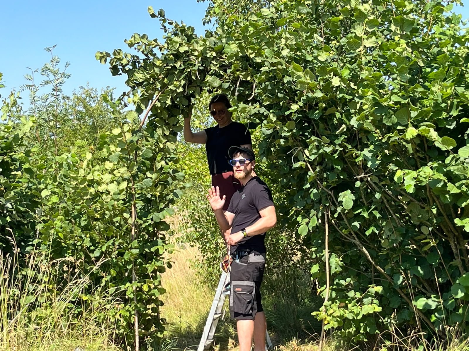 Digging it: The weekly adventures of Volunteer Conservation Teams!