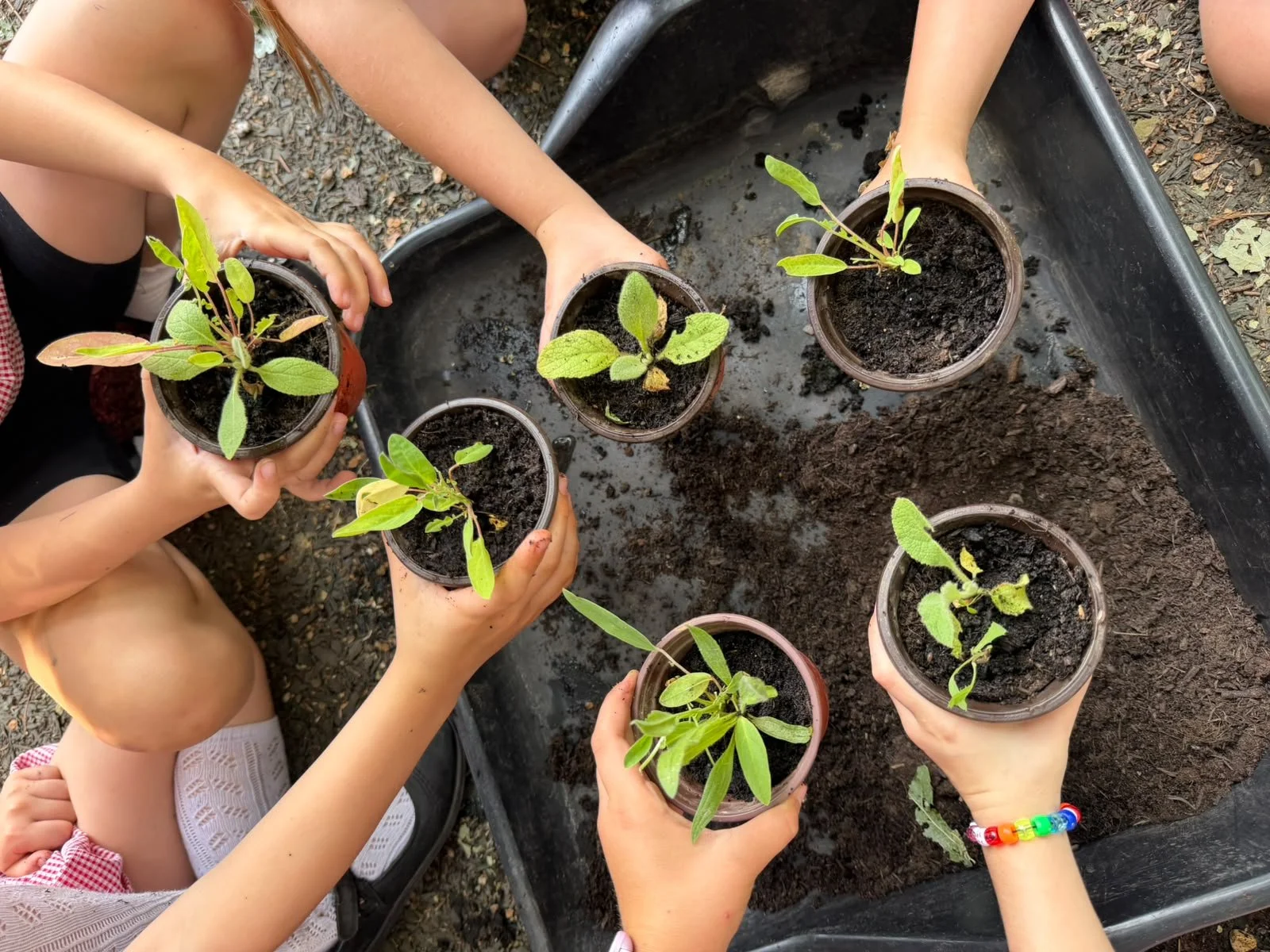 WhatsApp Image 2026-07-23 at 14.28.30.jpeg
