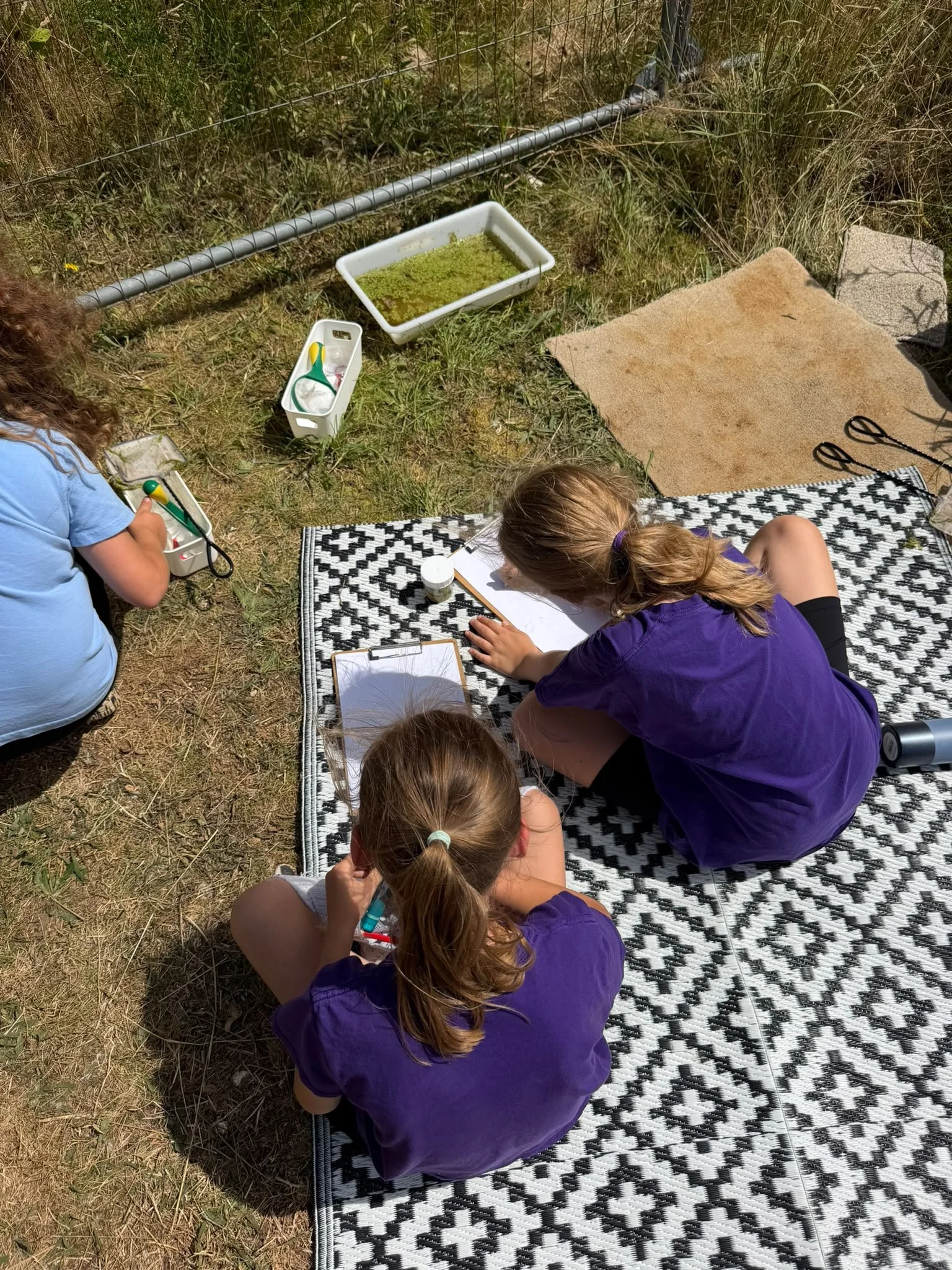 Young Nature Explorers Discover the Wonders of The Diamond Wood