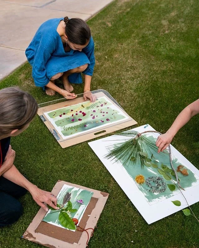 Explore the Wild: A Day of Cyanotypes, Trees, and Connection