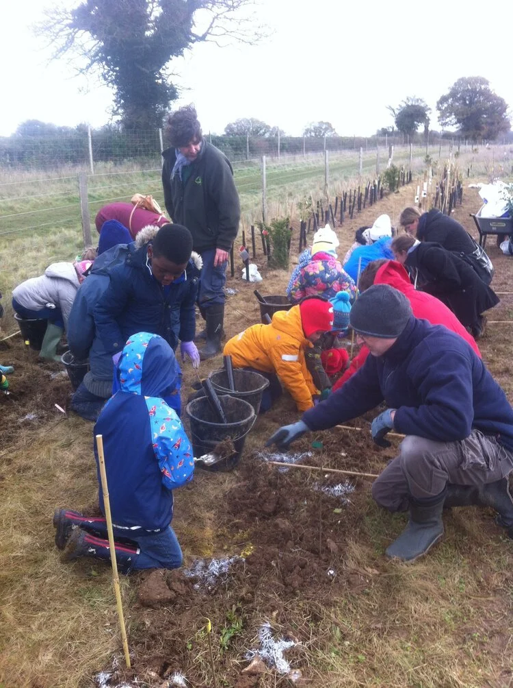 2015 planting 2.jpg