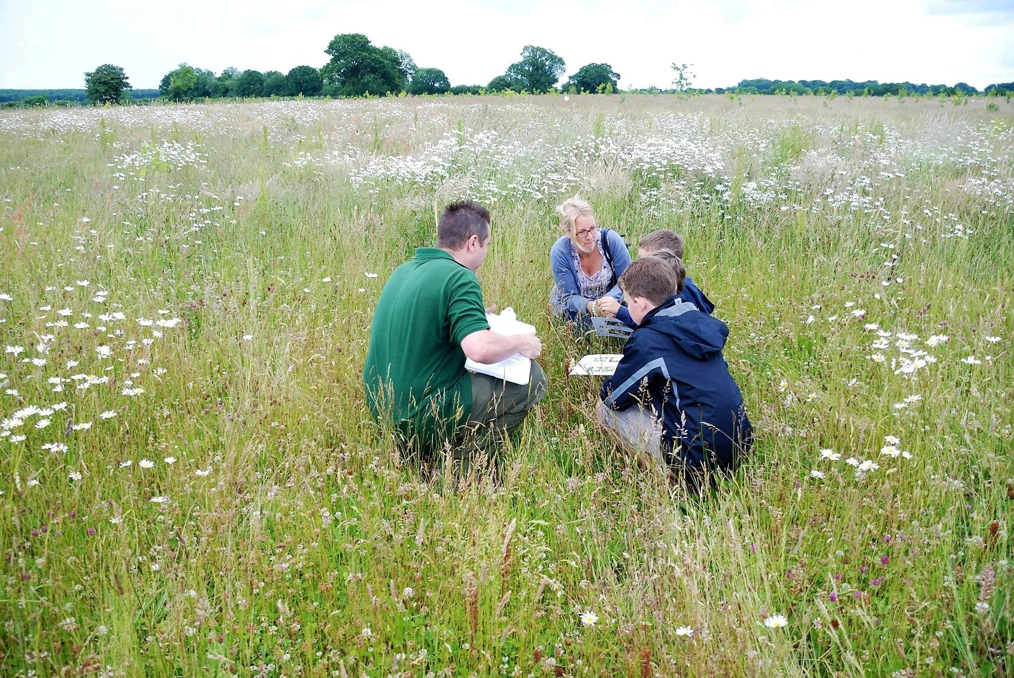 Family open day with wildflowers.jpg
