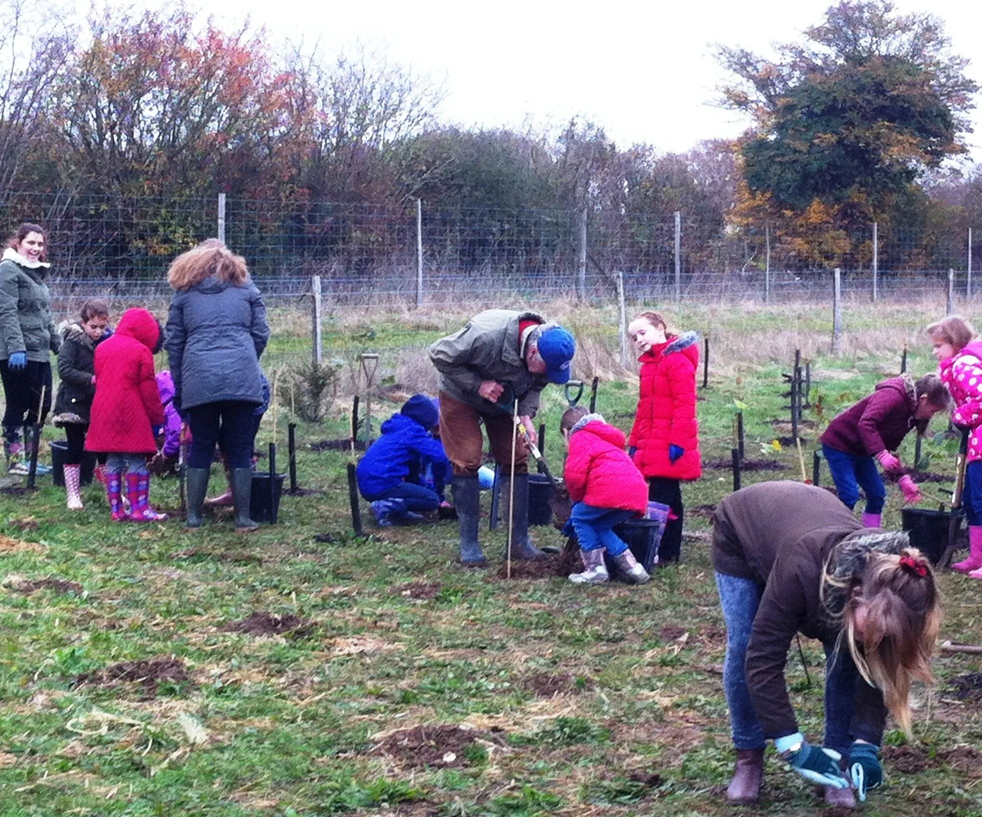 2014 schools' planting fortnight Harmony Woods.JPG