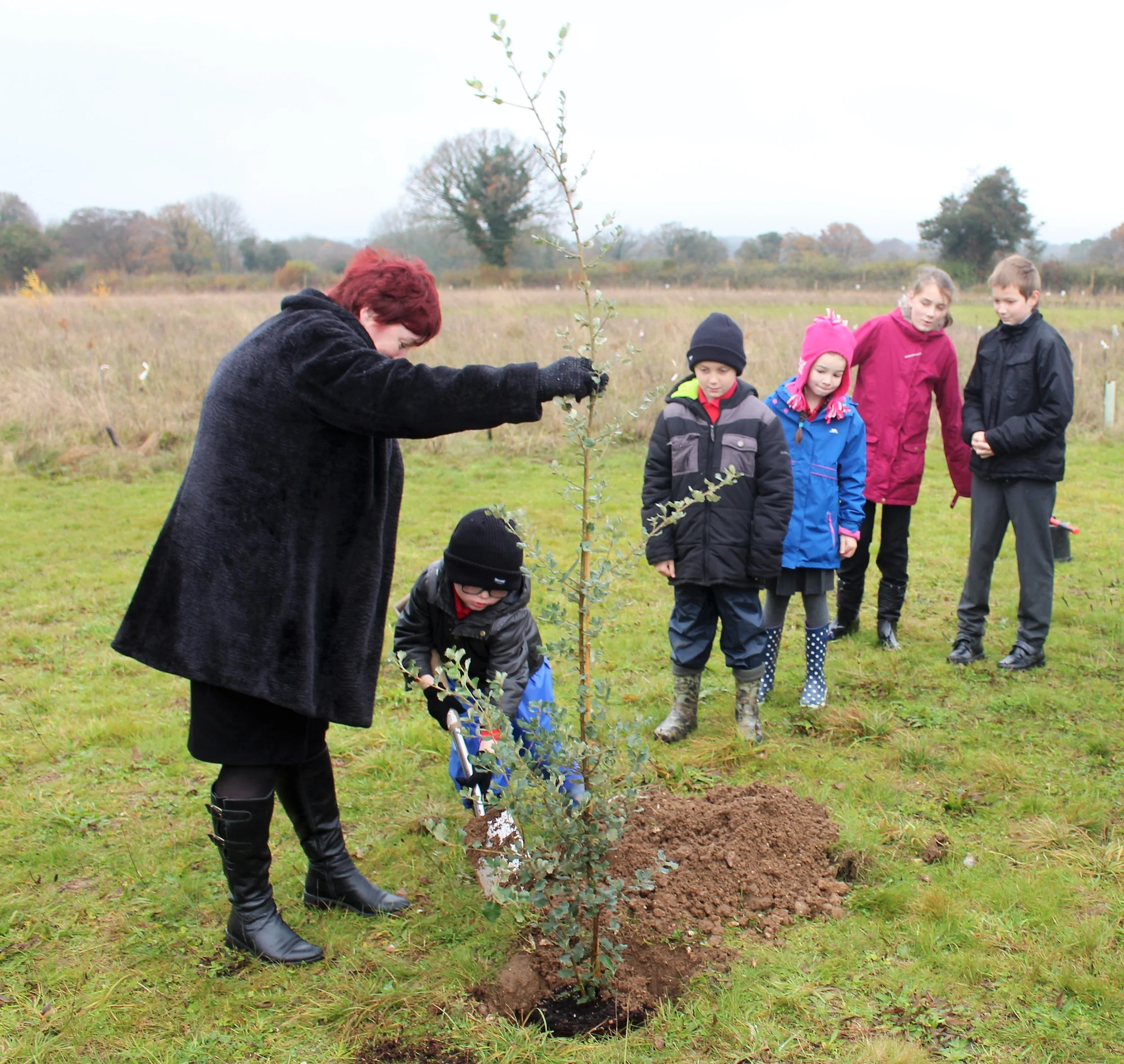 Birthday Tree Holm Oak planting.jpg