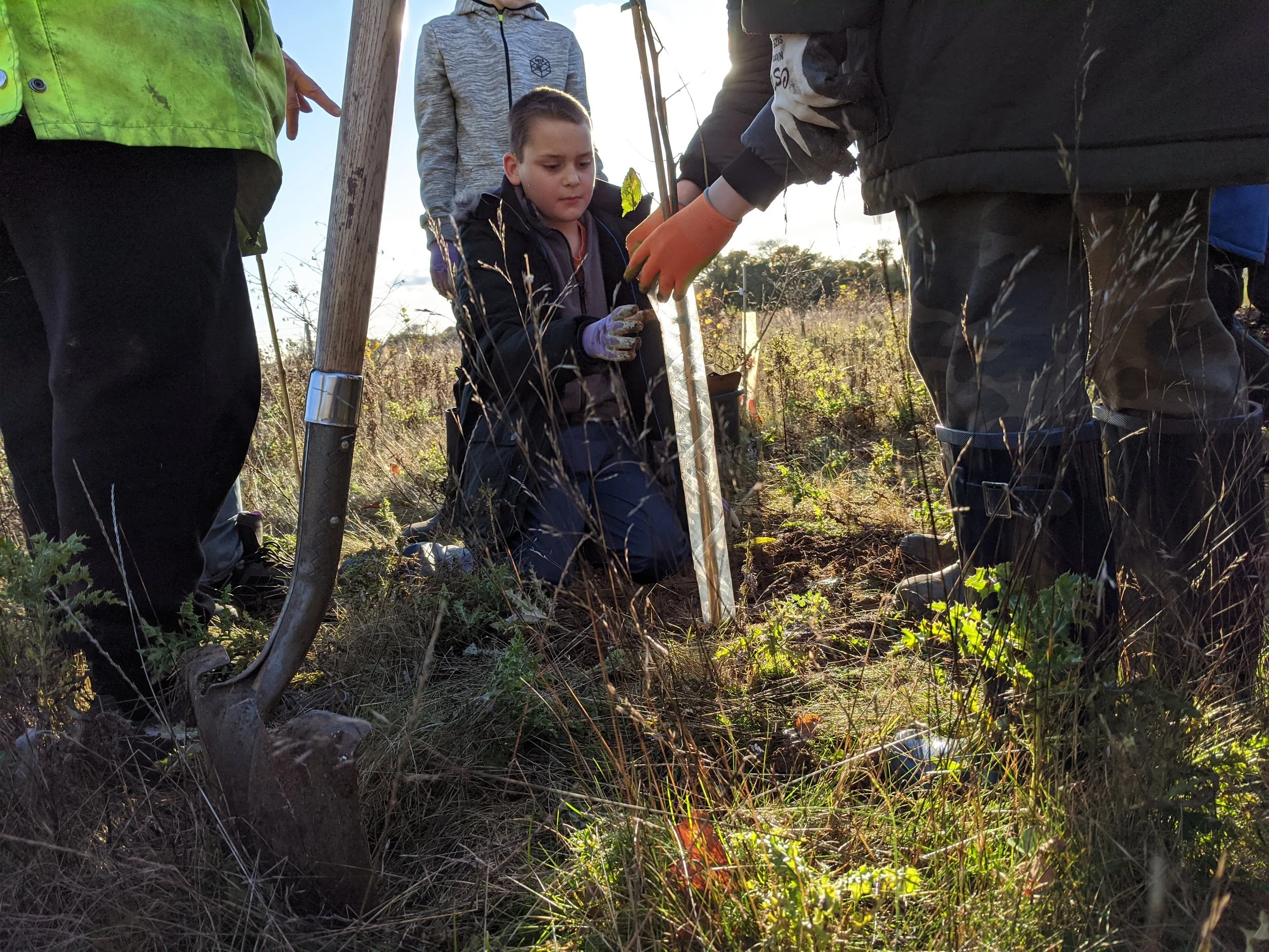 Planting Elm tree 2019.jpg