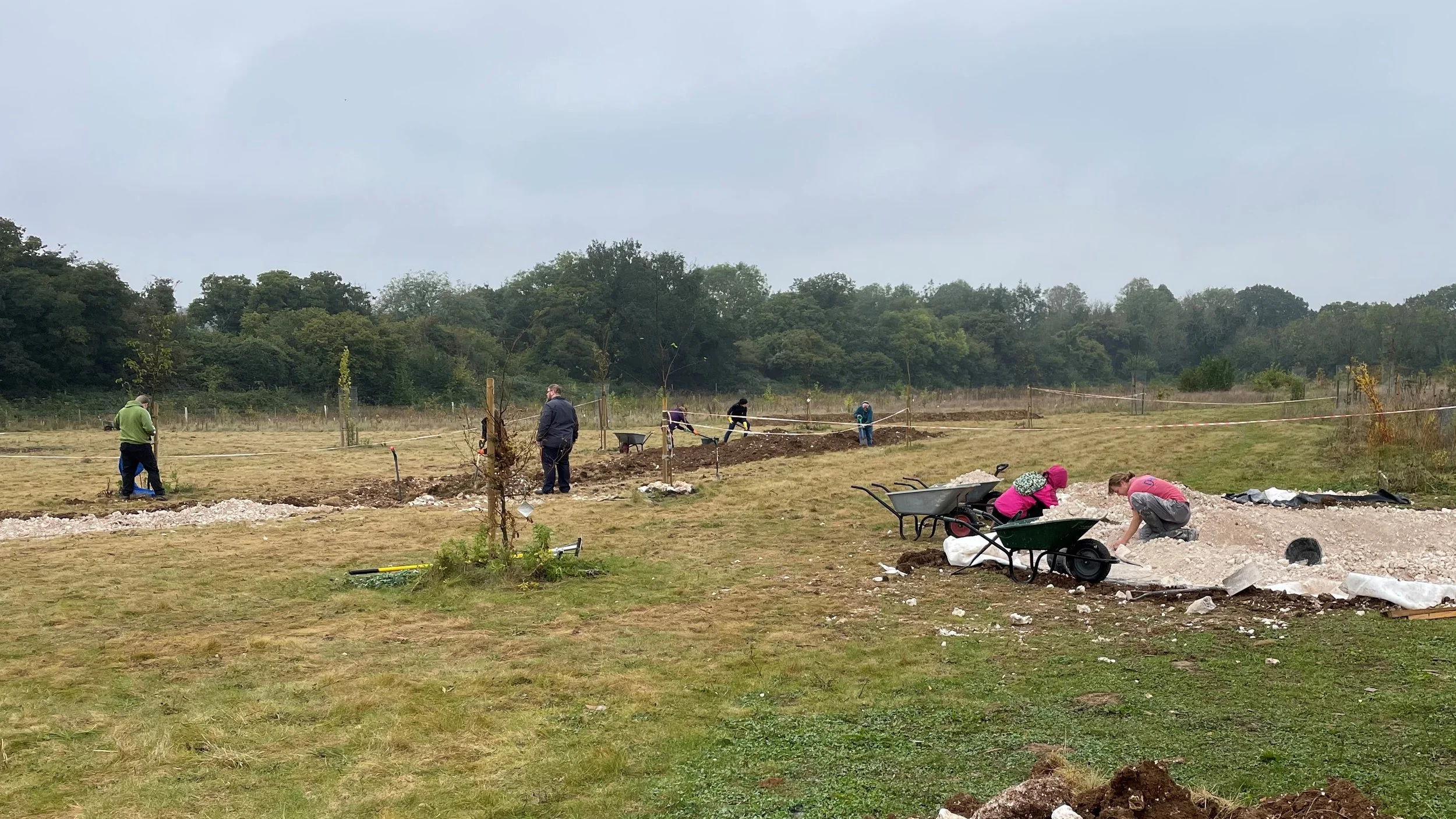 Habitats trail - new pond & meadow.jpeg