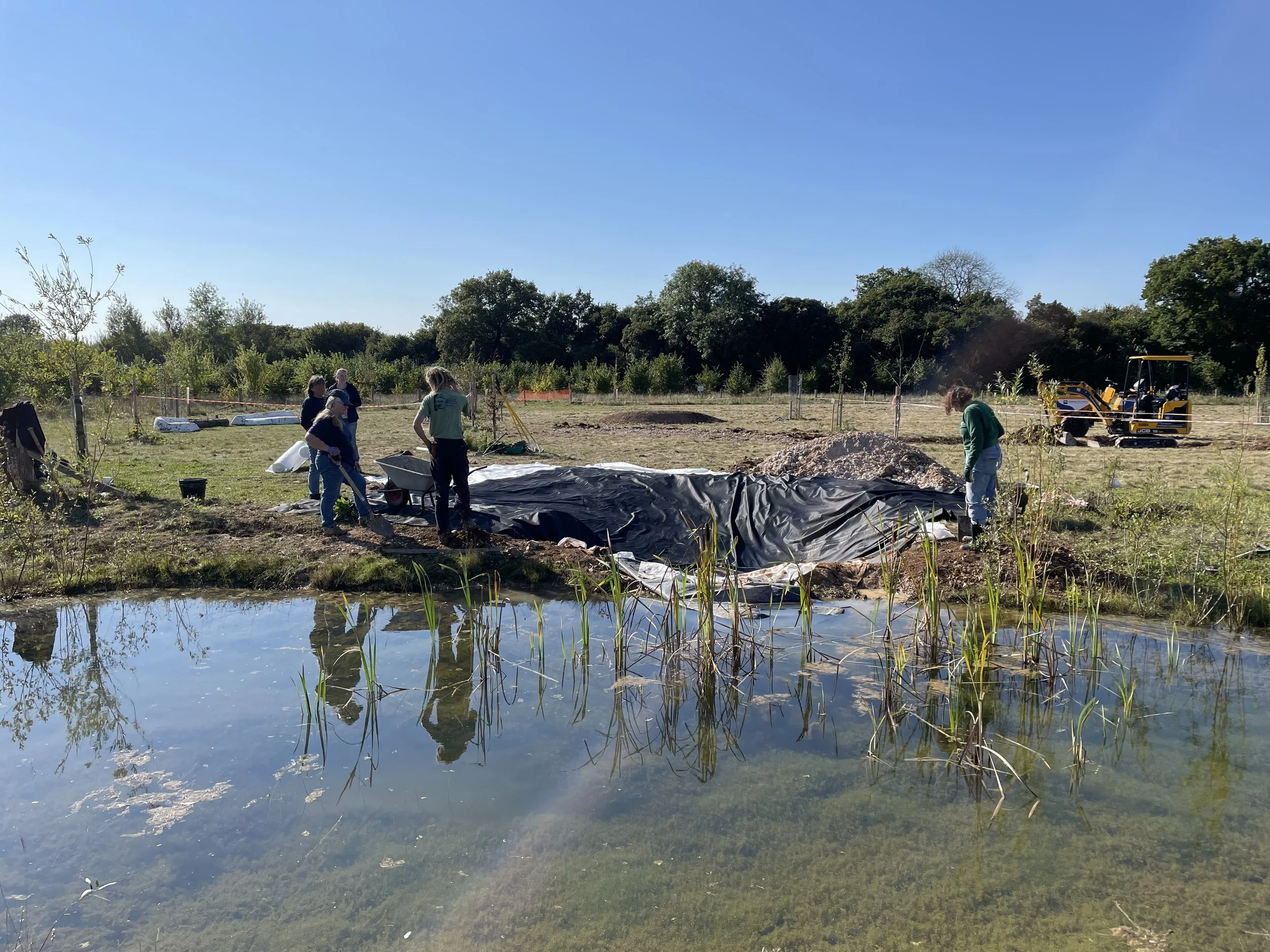 Pond extension.jpeg